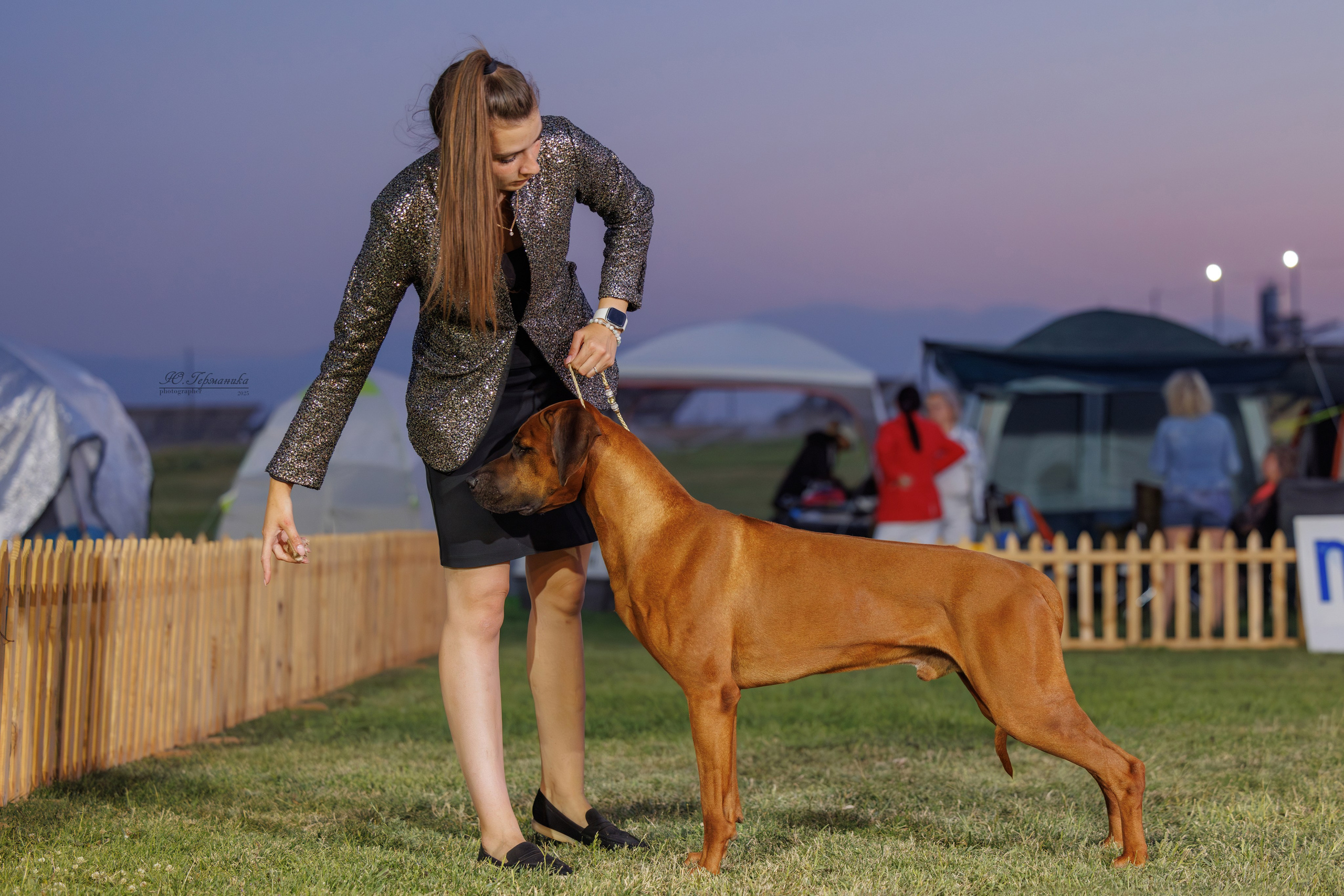 Ереван 3хCACIB 23-25.06.2025. Фотограф-анималист Юлия Германика