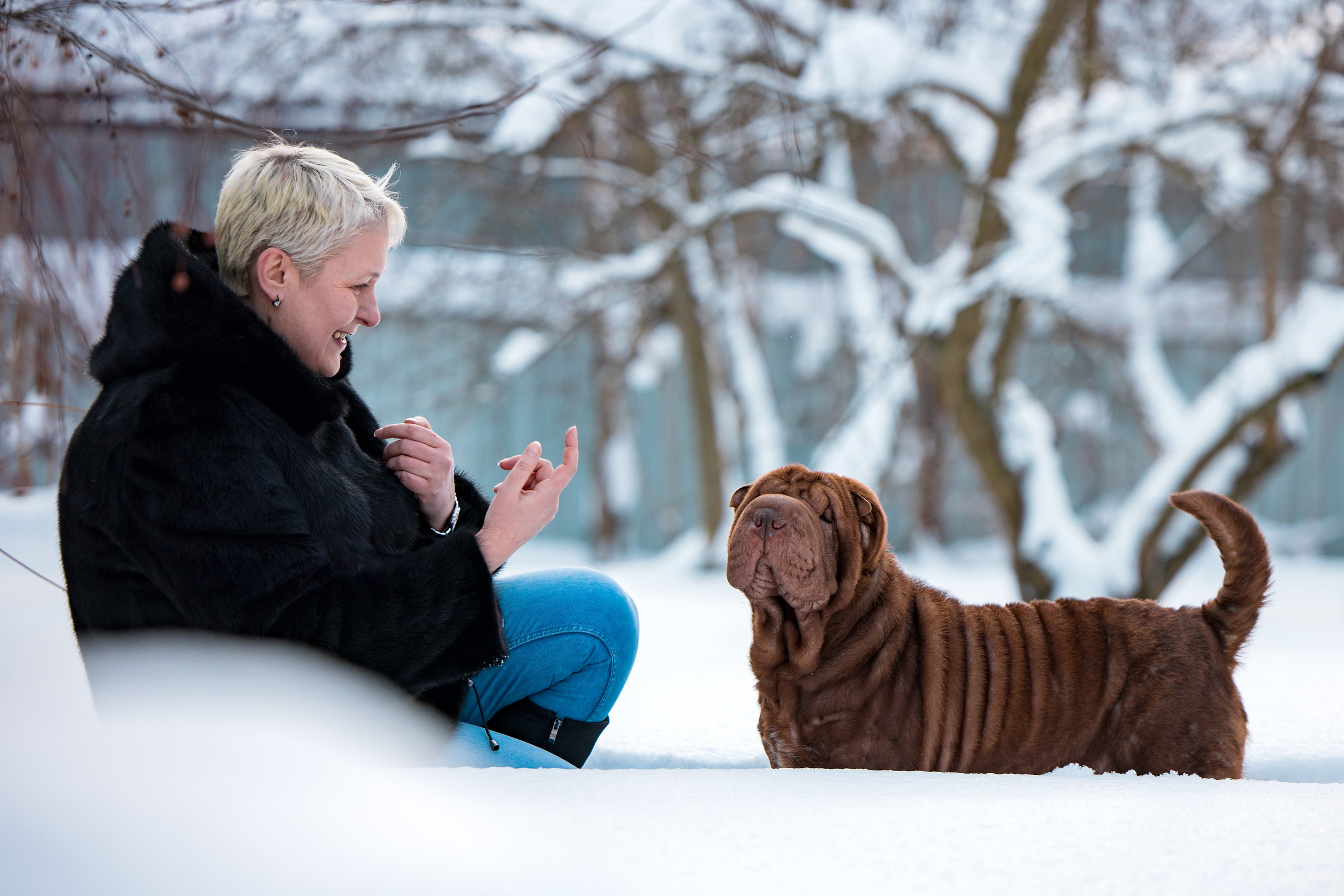 В гостях у шарпеев 16.01.2024. Фотограф-анималист Юлия Германика