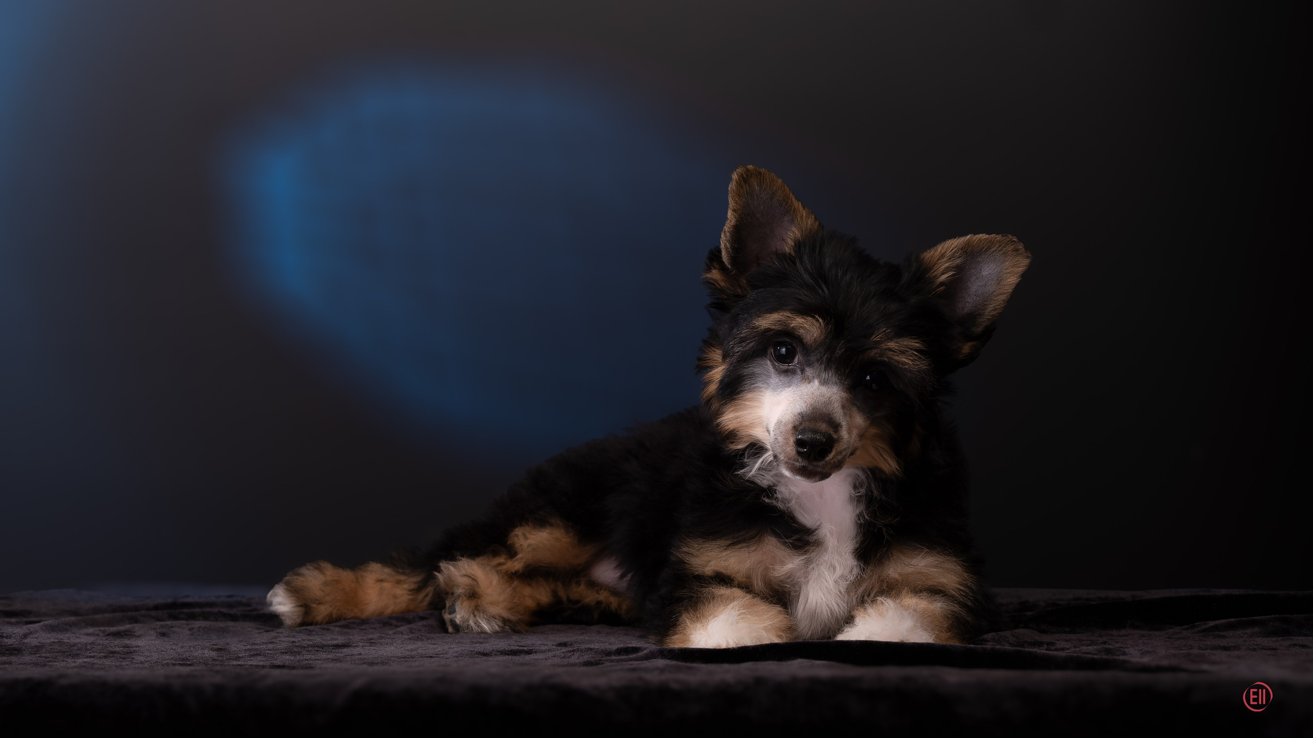 07.06.2025 Синяя фотосессия. Фотограф в Москве