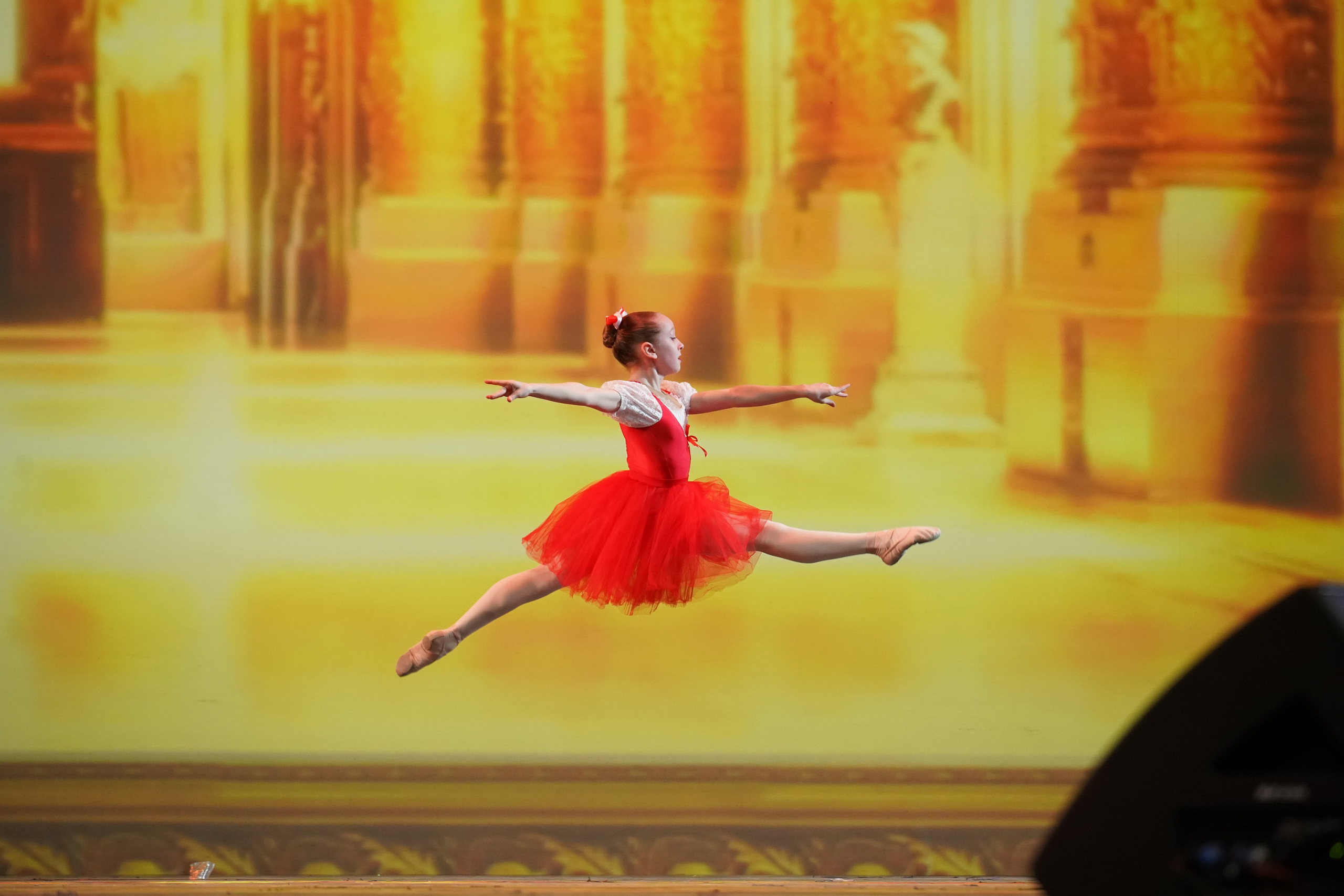 19 мая, отделение 1, г. Москва, Кремль. Золотое яблочко