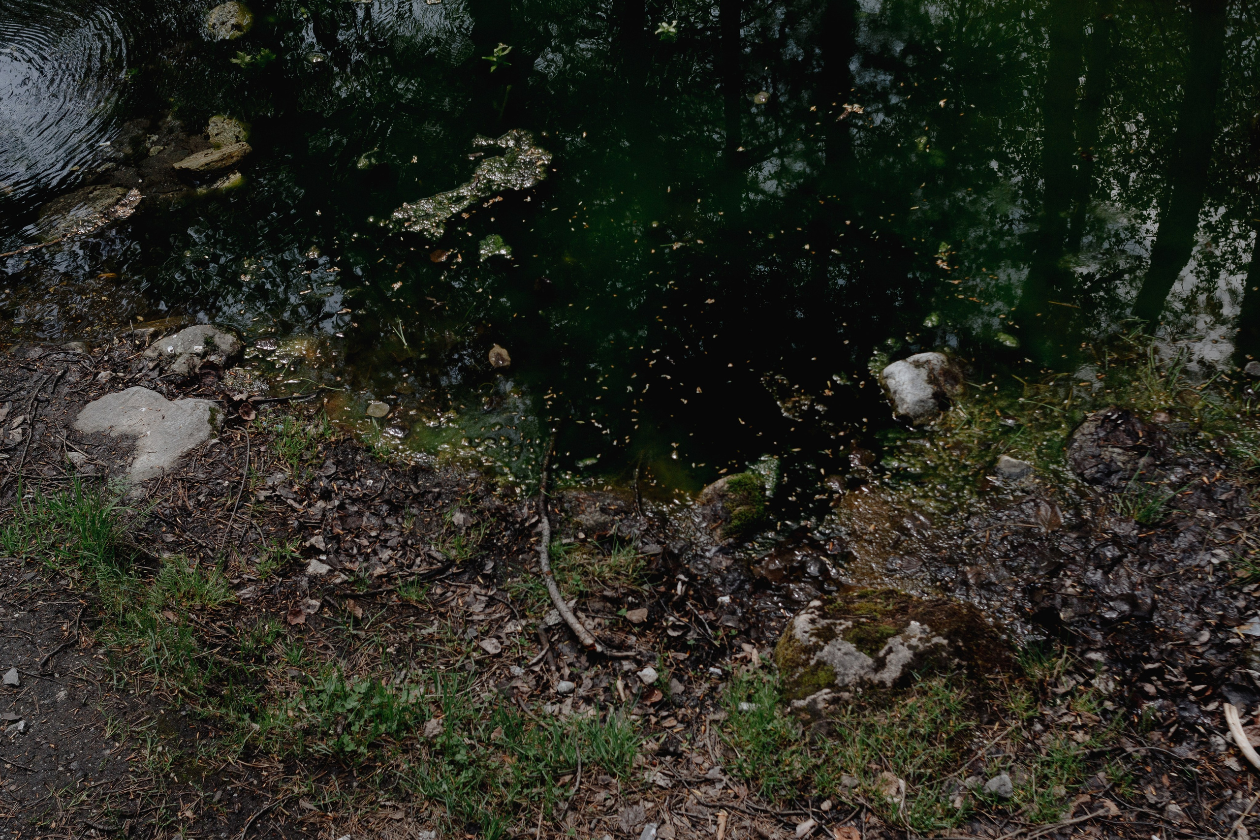 Ретрит на Байкале / Школа Ведических знаний SoVA / 7 дней, 2023. Борщевская Елизавета / фотограф Иркутск