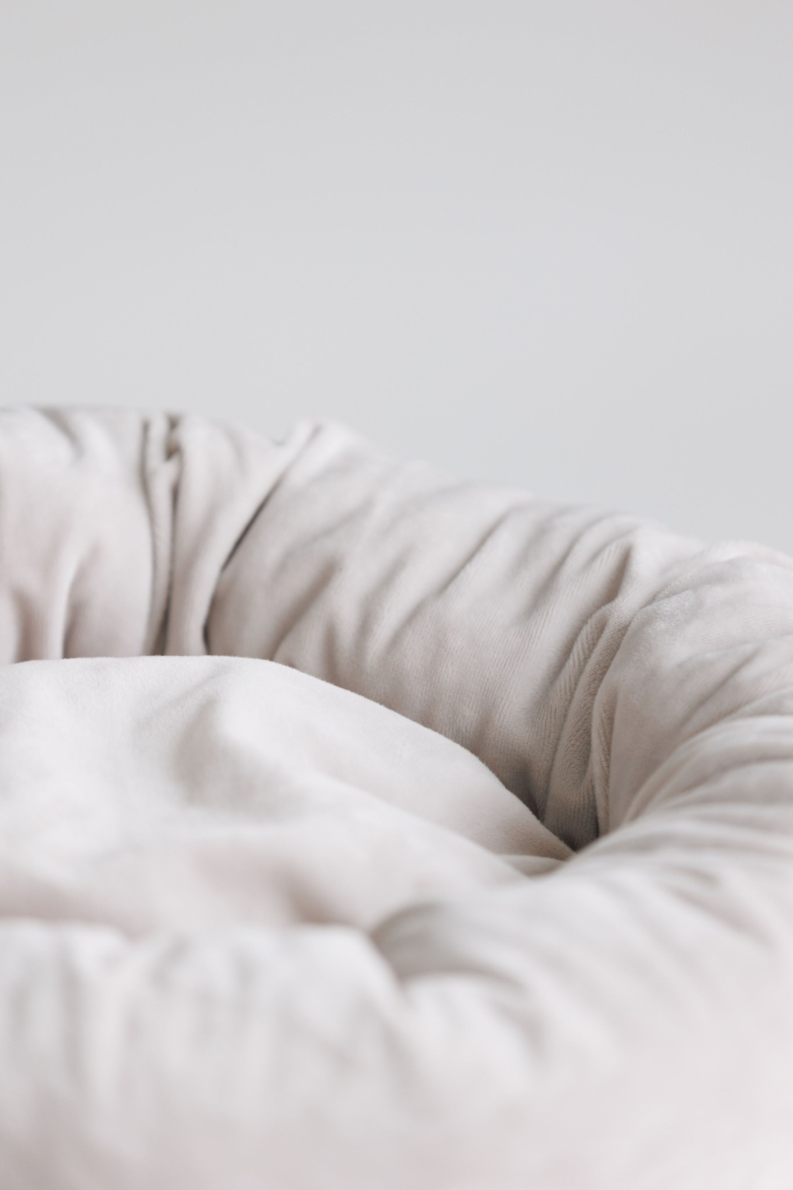 OH MY DOGA. Фотограф анималист Кристина Карпова, Москва