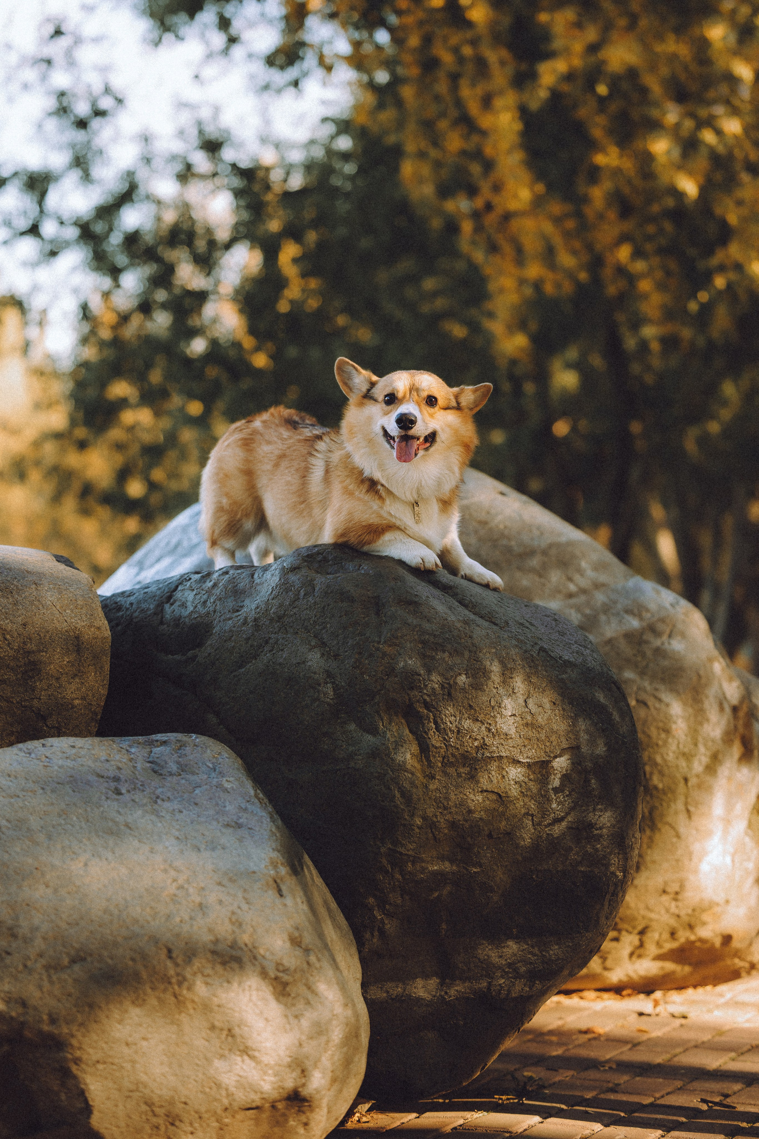 Карина, Даня и Аркаша