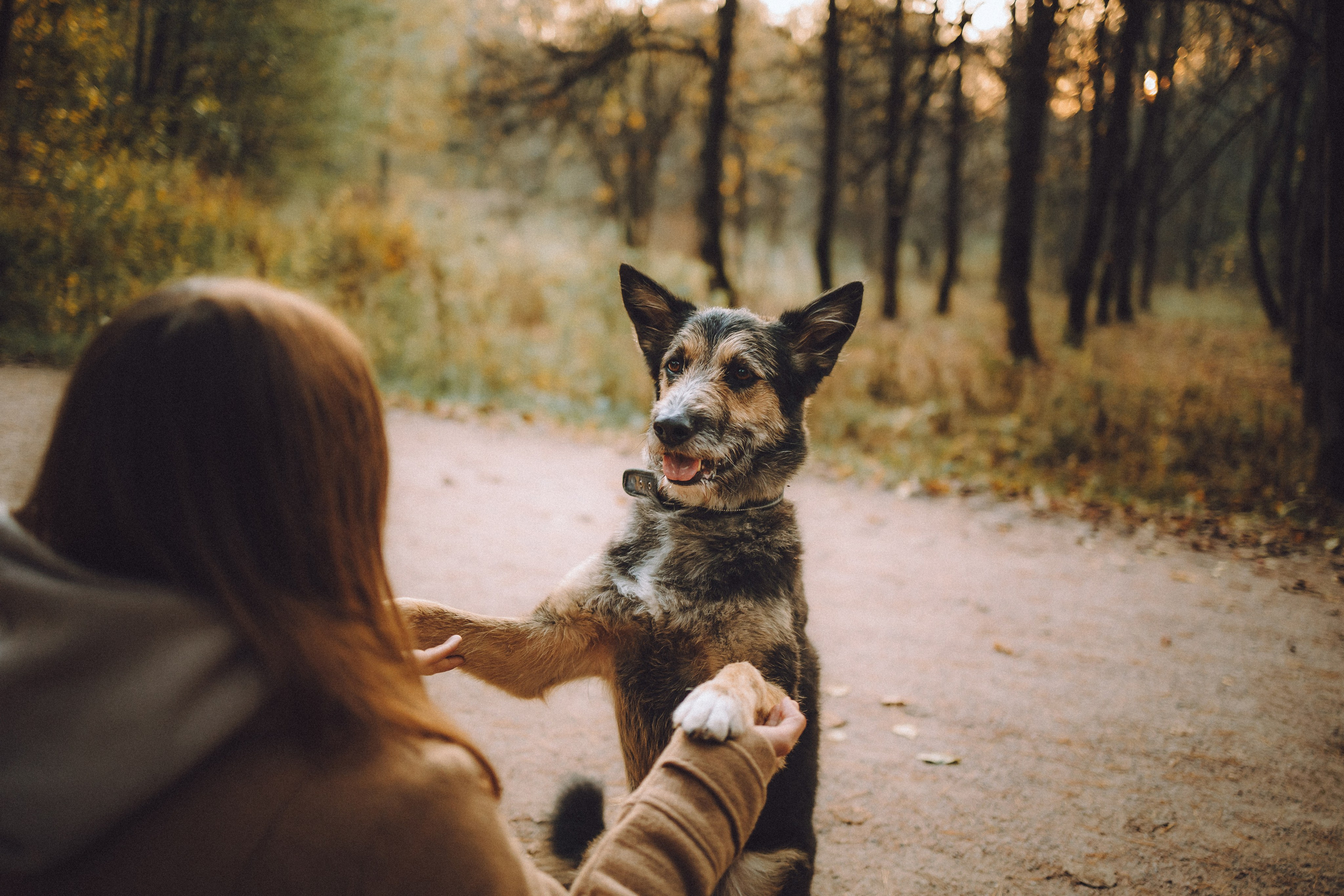 Рик, Джек и их семья