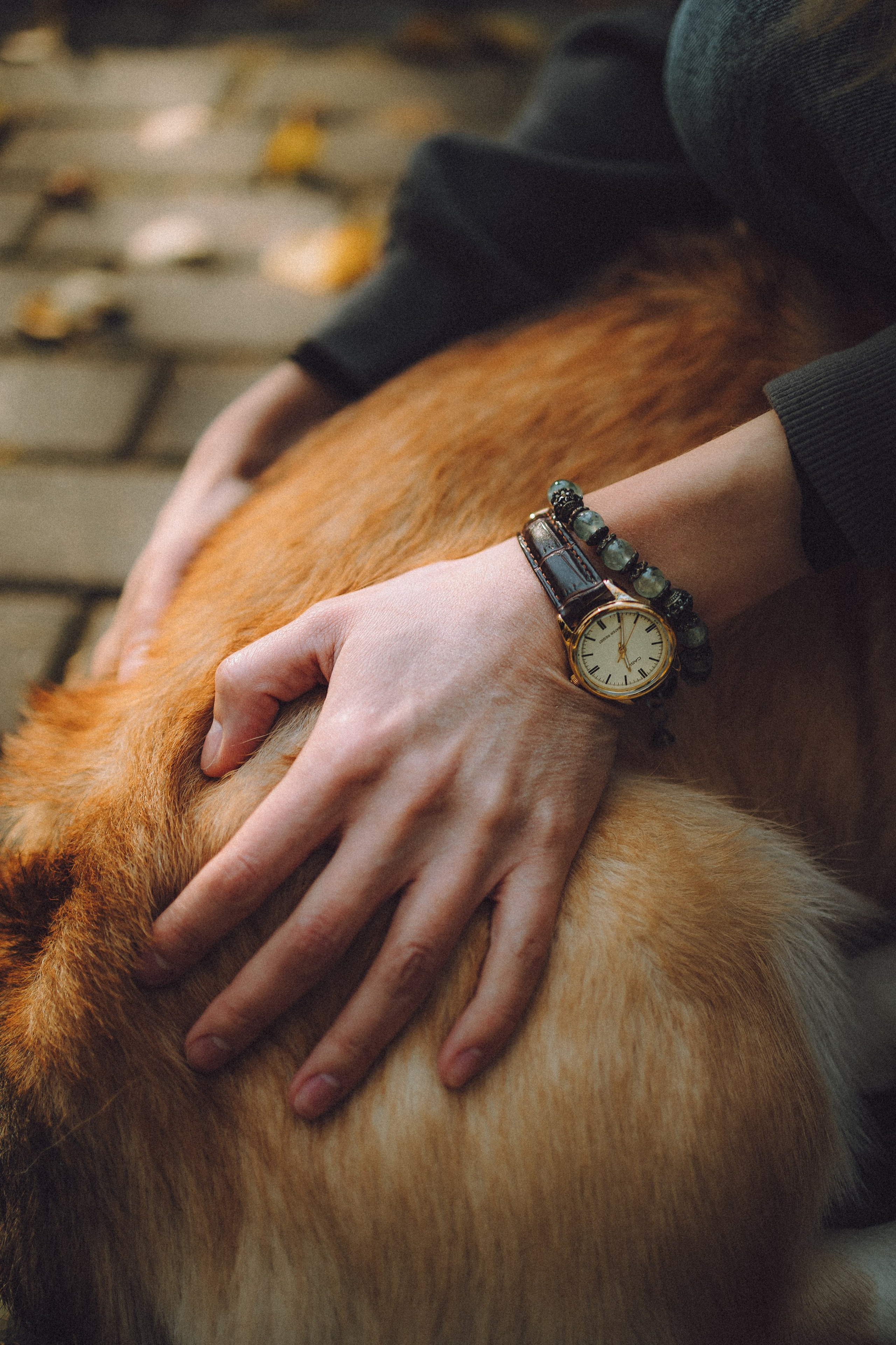 Карина, Даня и Аркаша