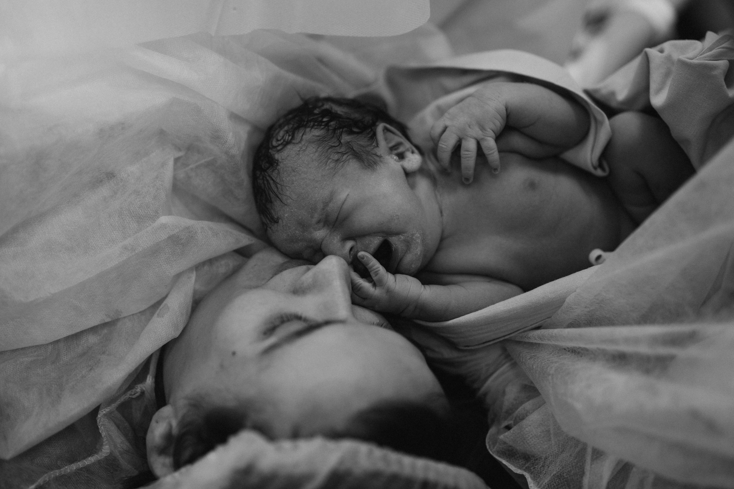 Евгения Пелипас