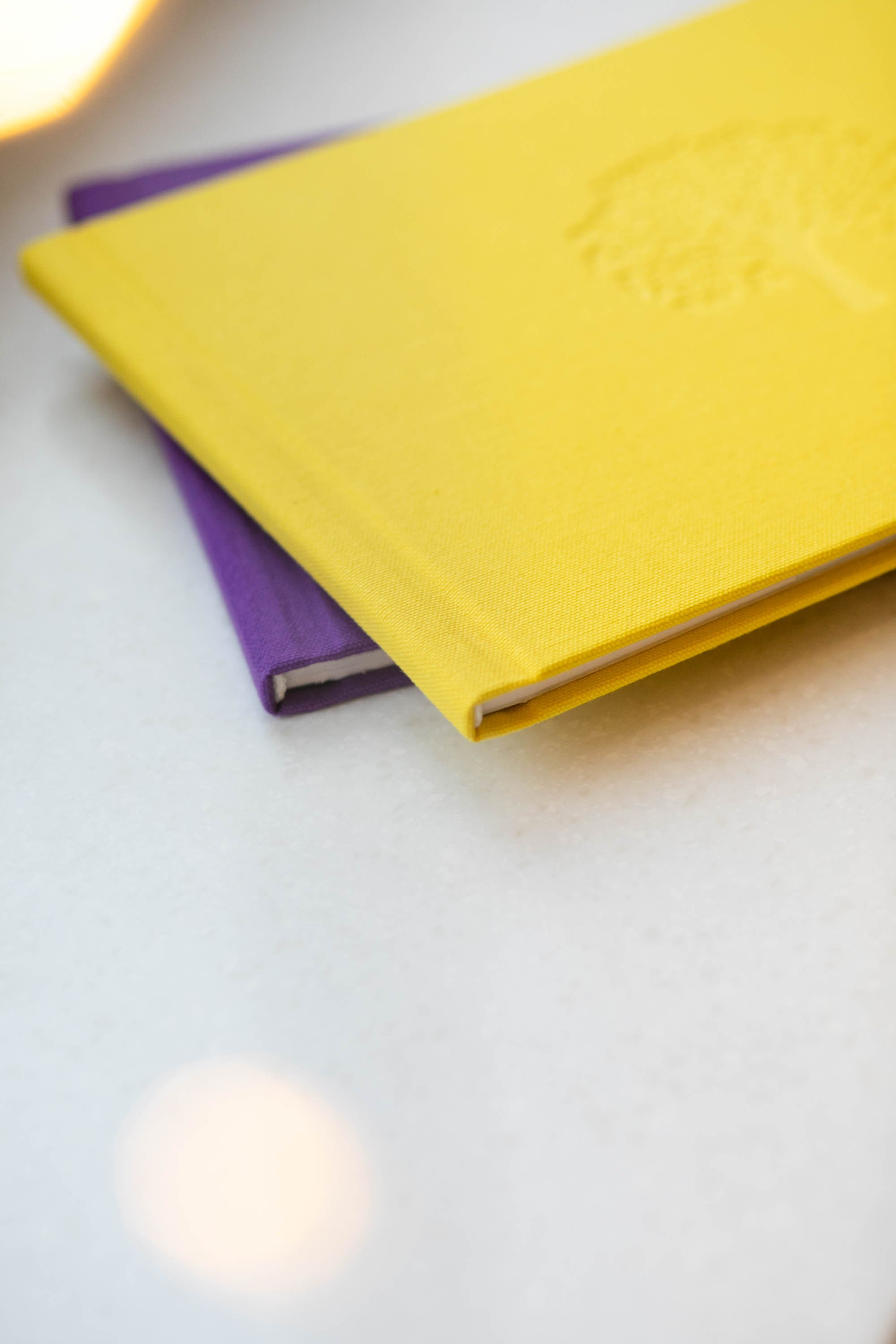 Полиграфический альбом в премиум обложке. Портретный фотограф Мария Шарко