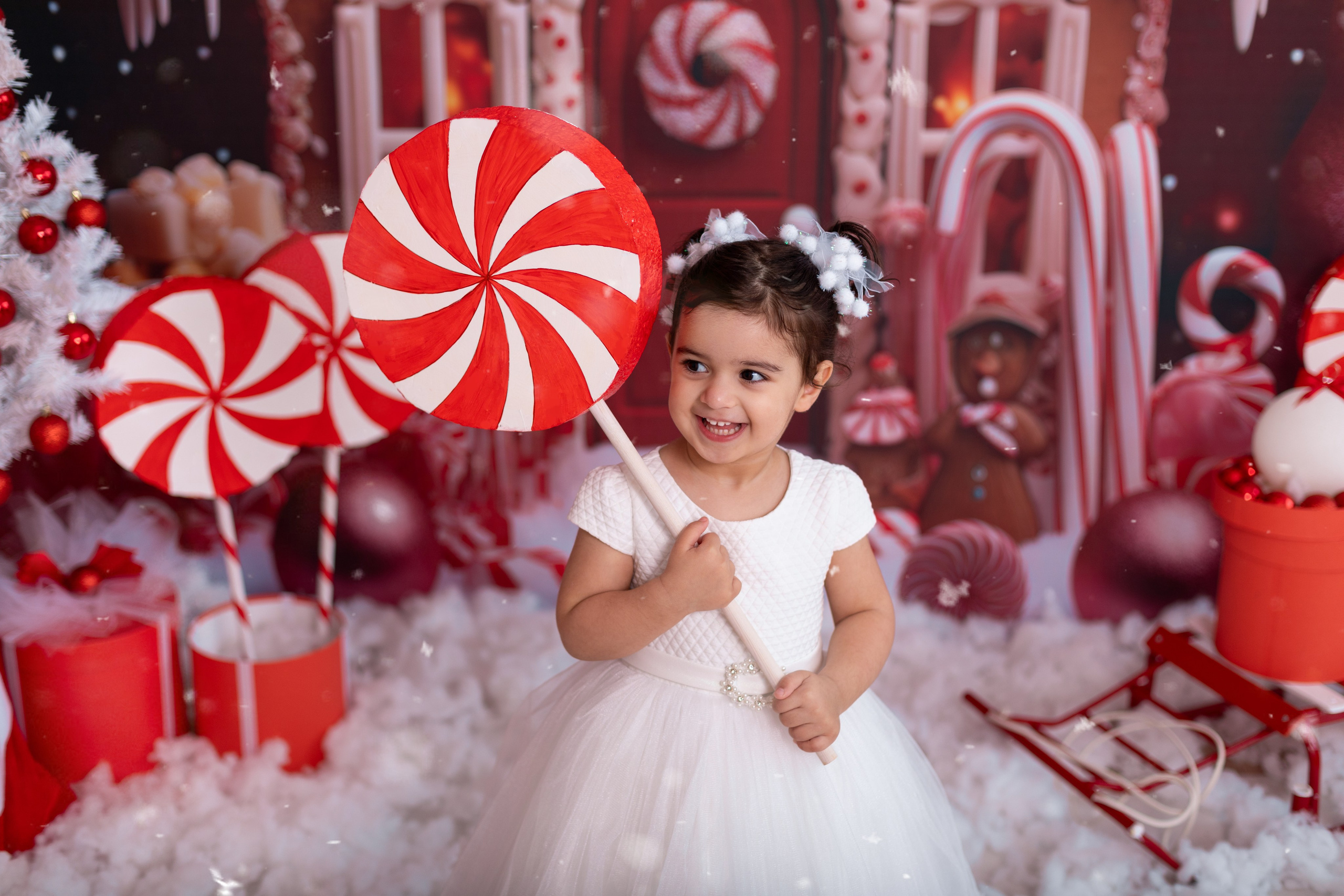 Новый год. Фотограф новорождённых Псков