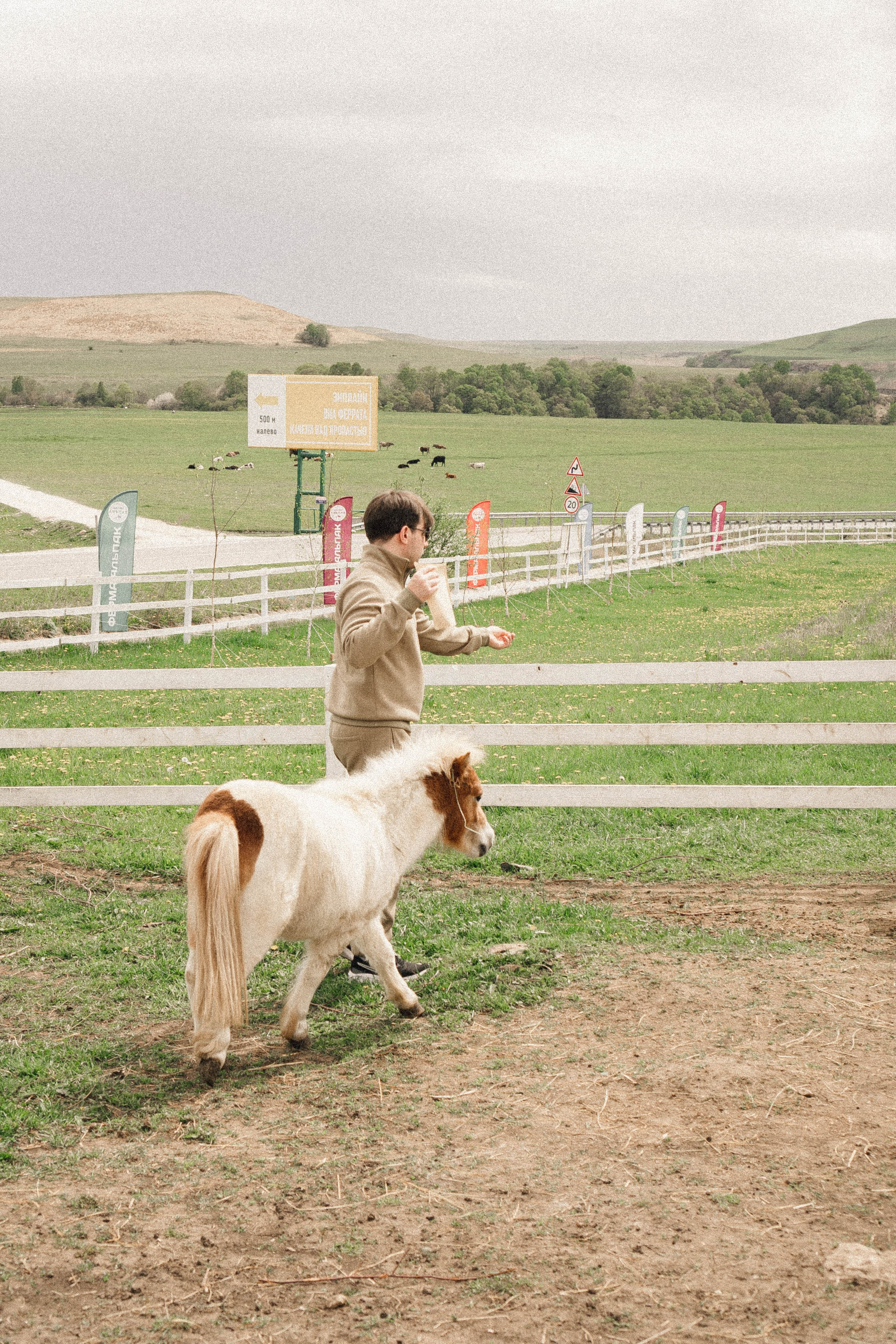 Ферма Альпак. Профессиональный фотограф, Санкт-Петербург — Виктория Богомолова