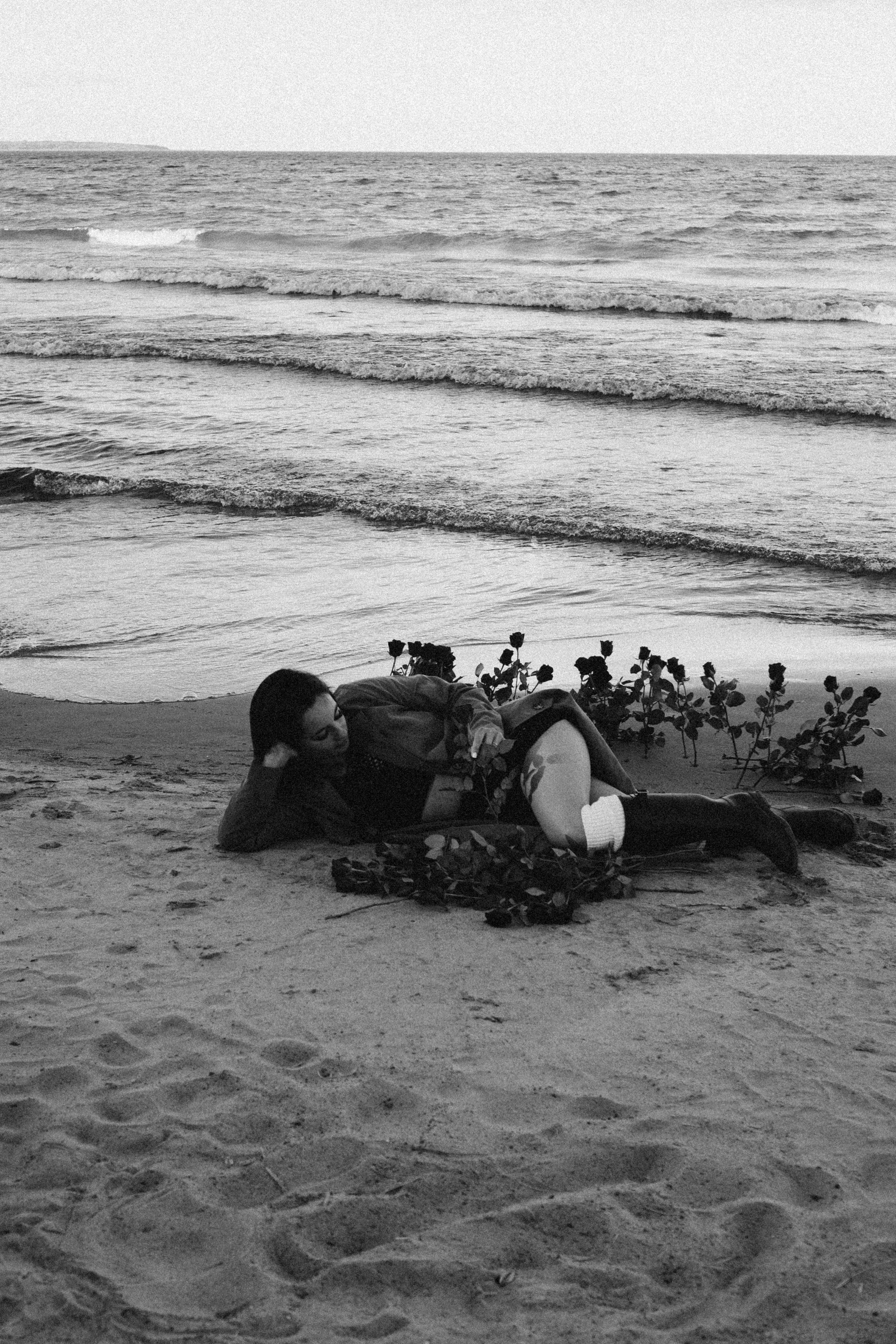 Розы. Профессиональный фотограф, Санкт-Петербург — Виктория Богомолова