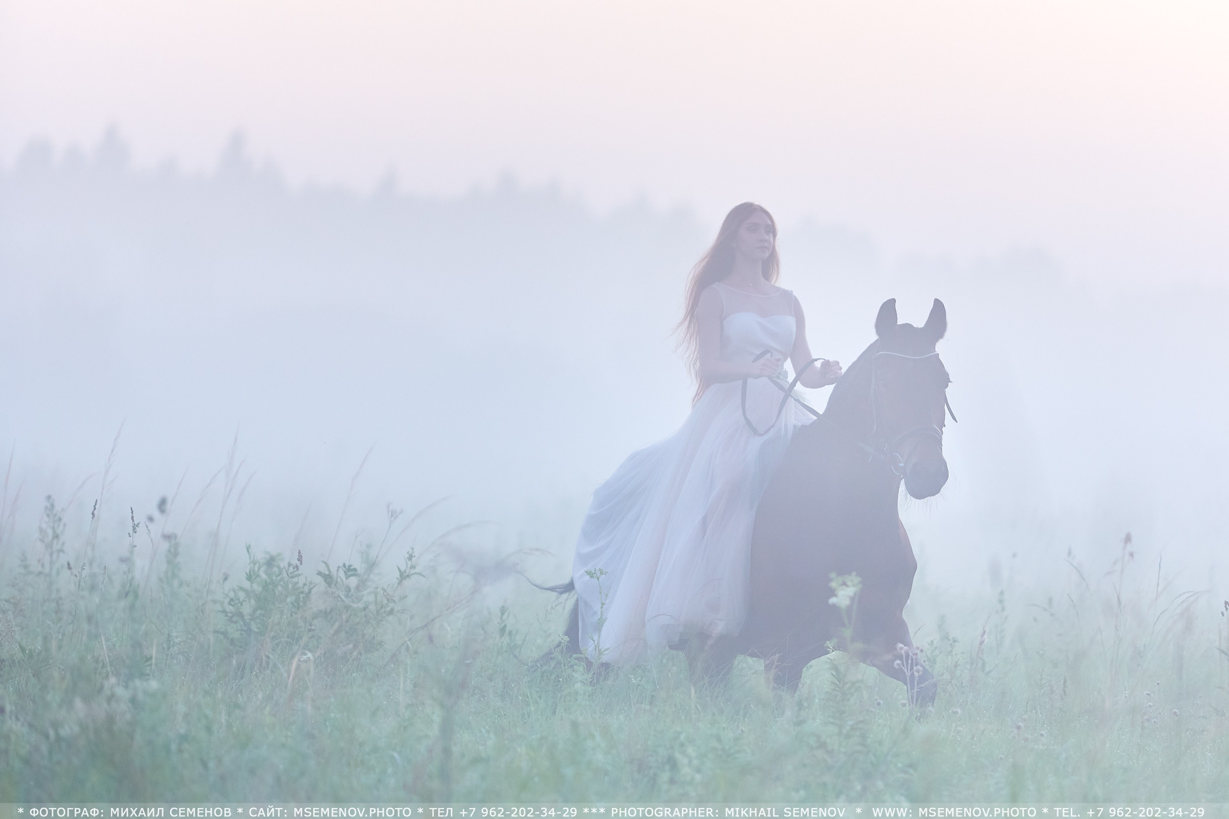 Фотосессия с лошадьми, Фотограф Михаил Семенов г. Ярославль