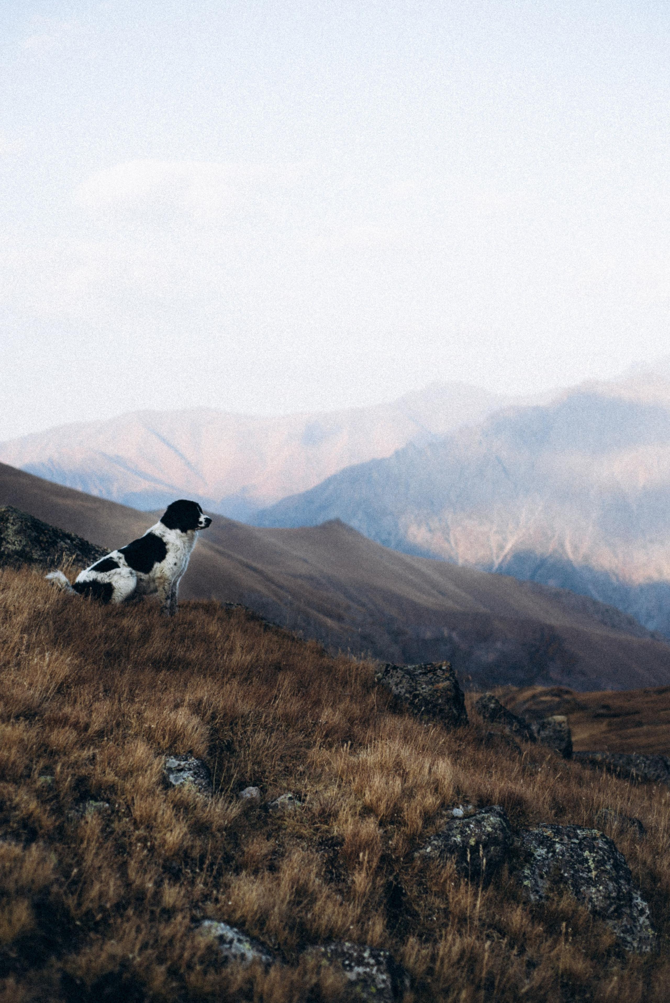 Казбег, Грузия 🇬🇪. Anita_photo