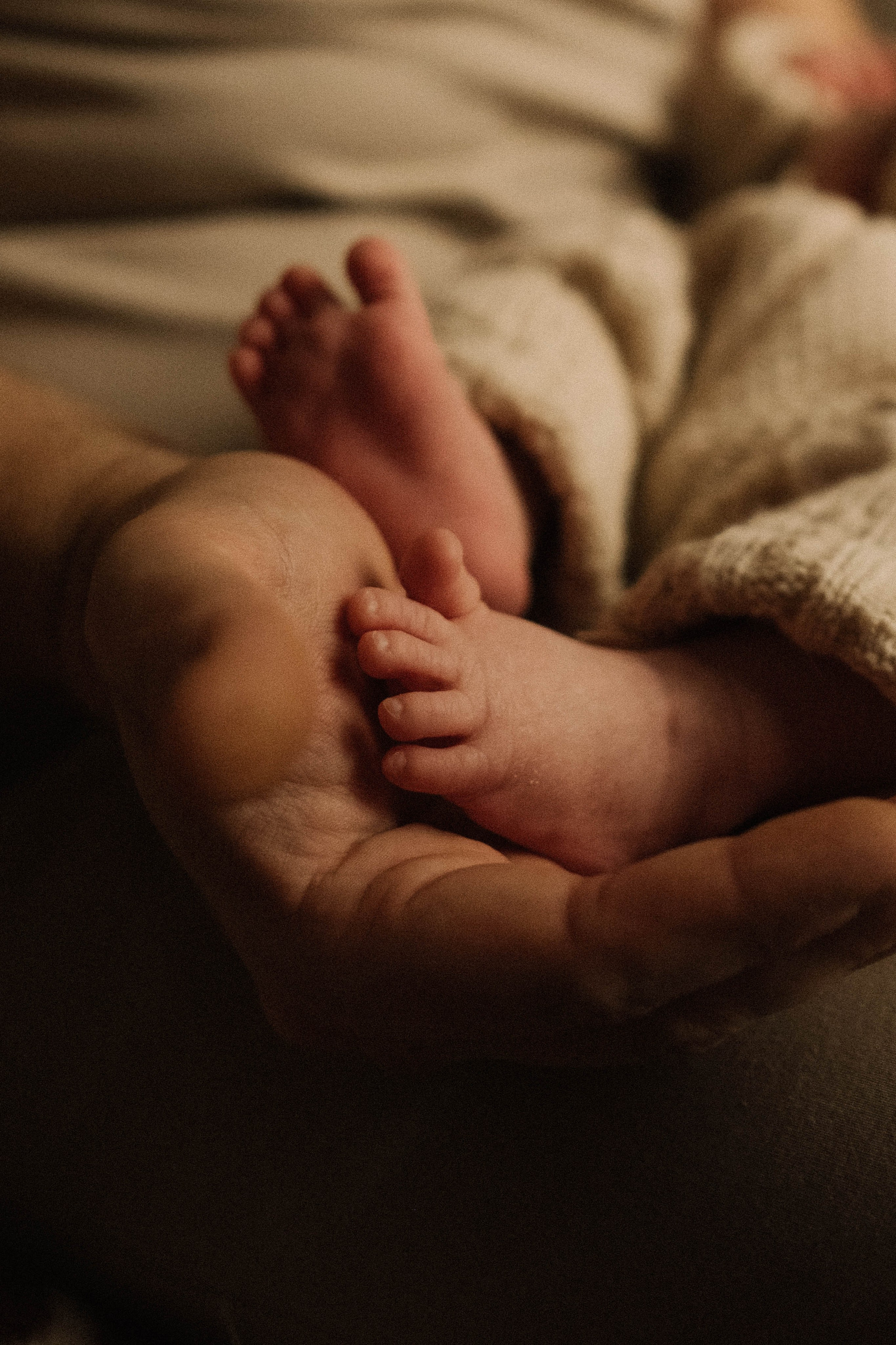 Новорожденная съёмка. Семейный фотограф в Санкт-Петербурге Дарья Косянчук