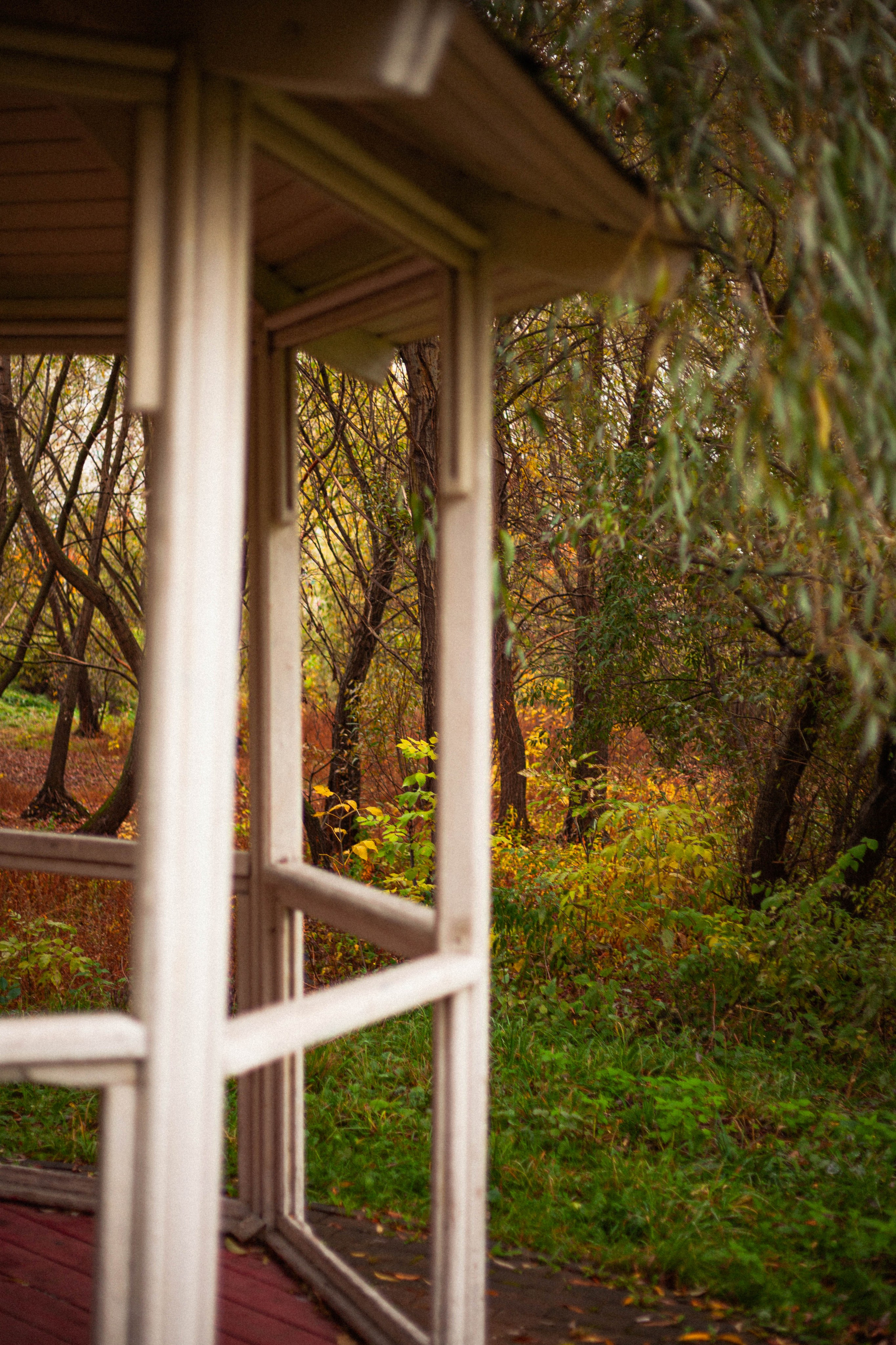 Осенняя серия. Фотограф в Москве. Екатерина Митина