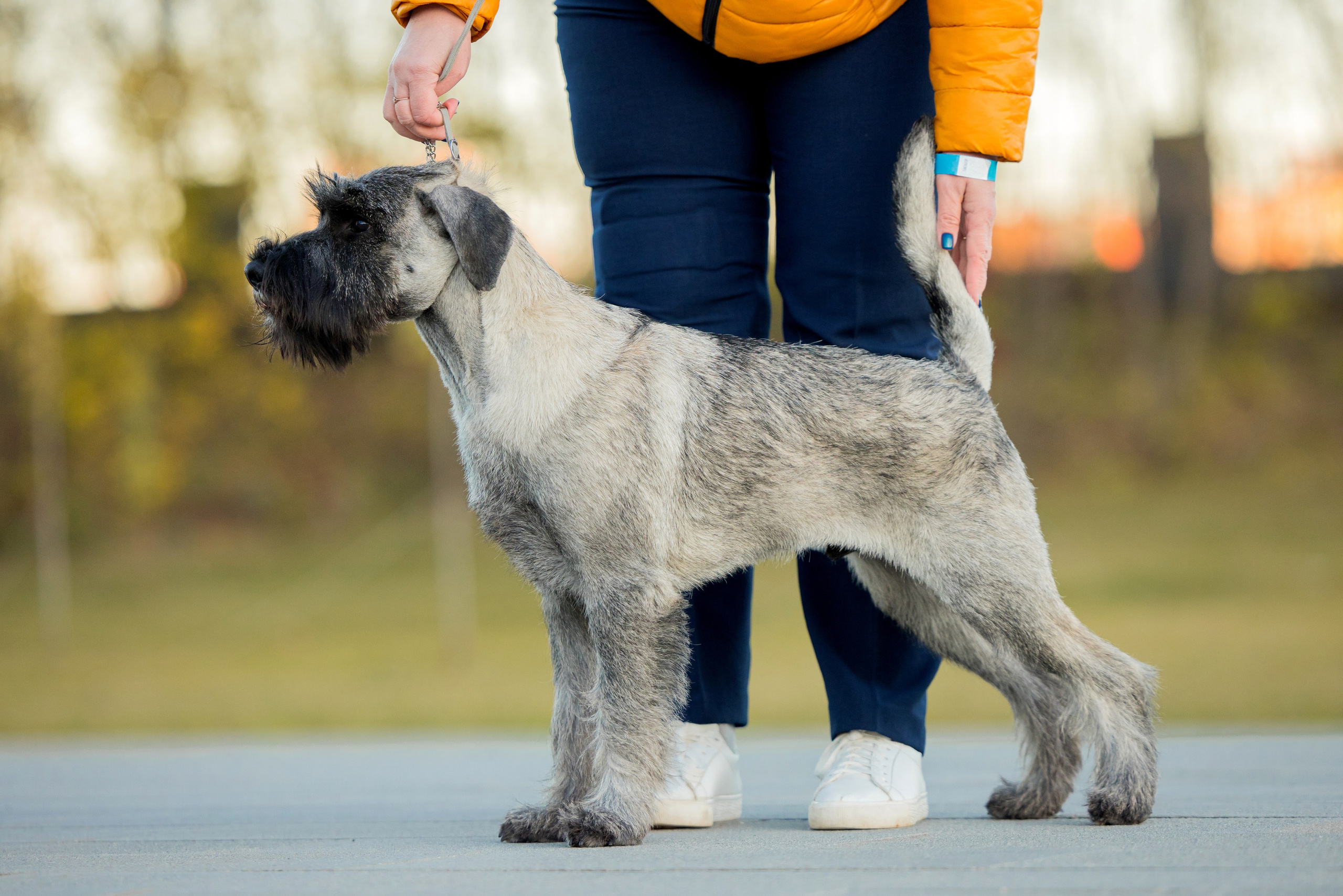 Нижний Новгород 21-22.10.2023. Фотограф-анималист Юлия Германика