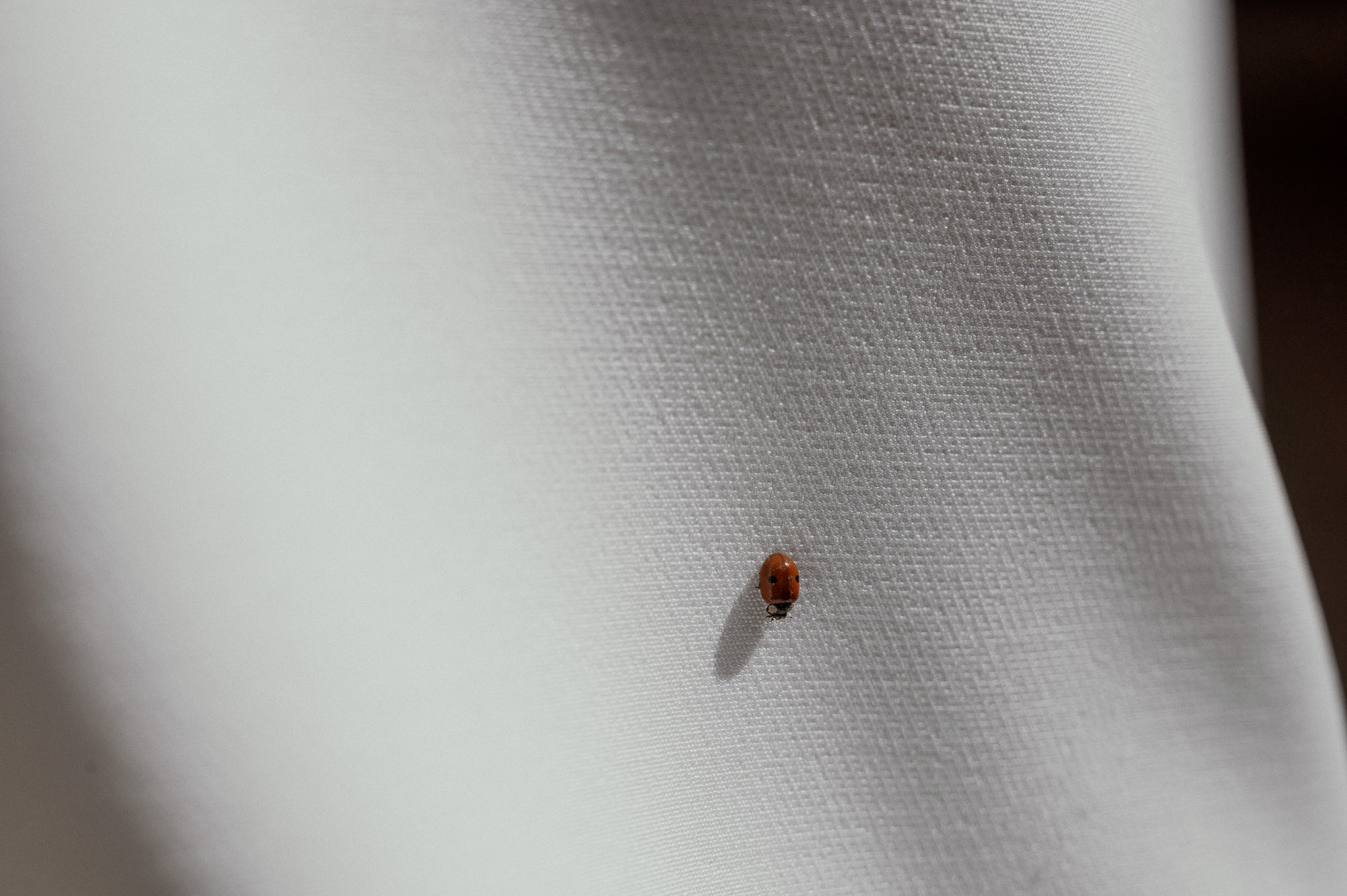 В легких тает дым. Свадебный фотограф в Астрахани и Москве