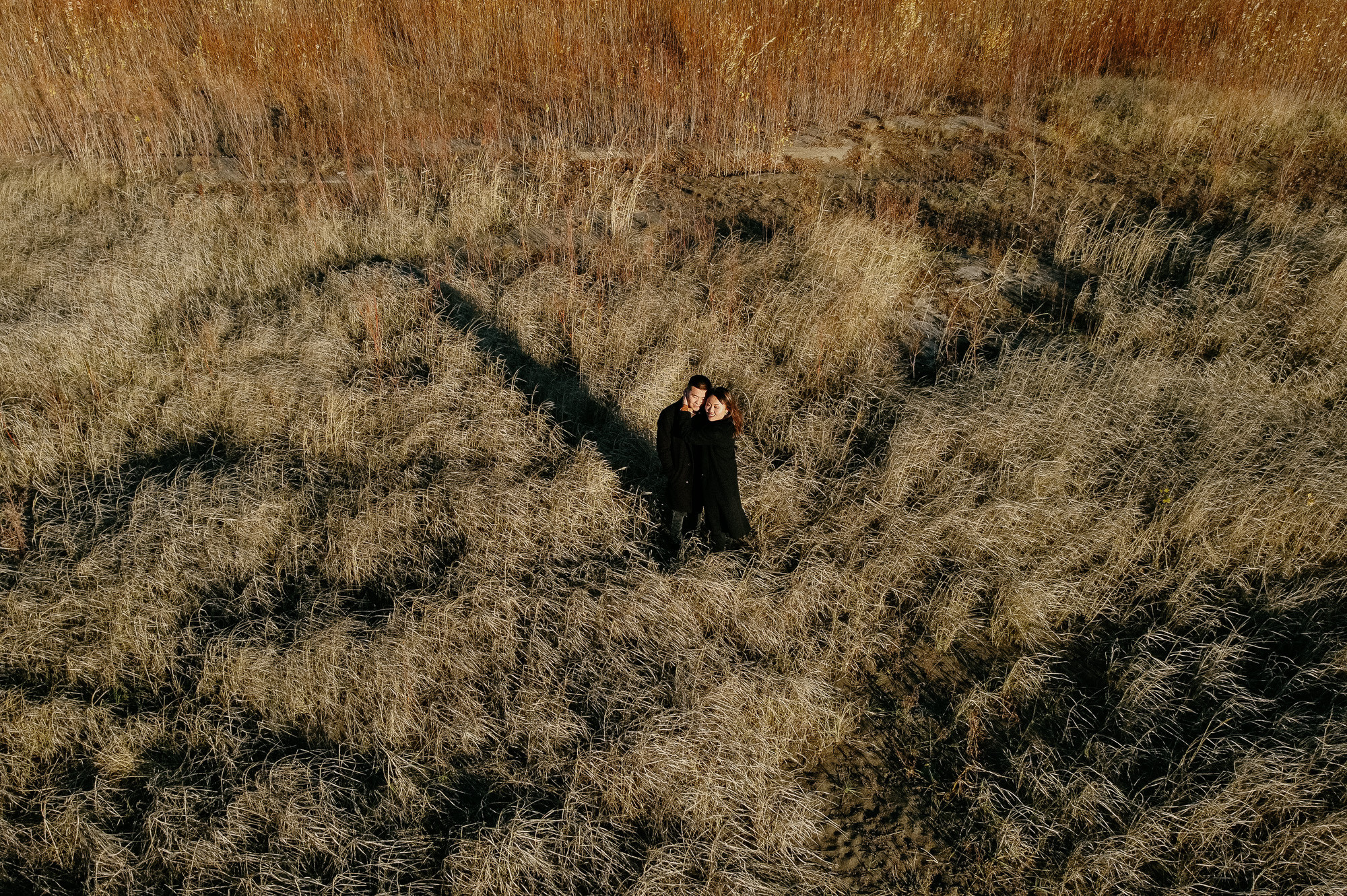 Autumn love. Wedding photographer