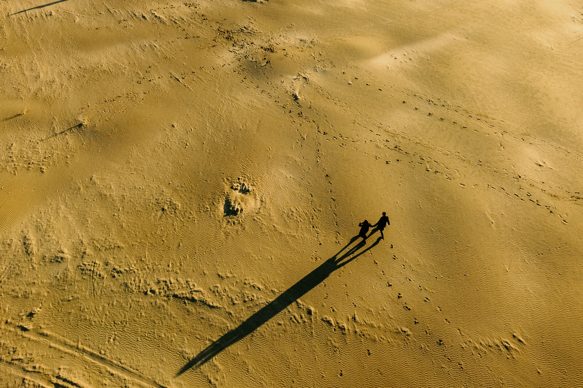 Autumn love. Wedding photographer