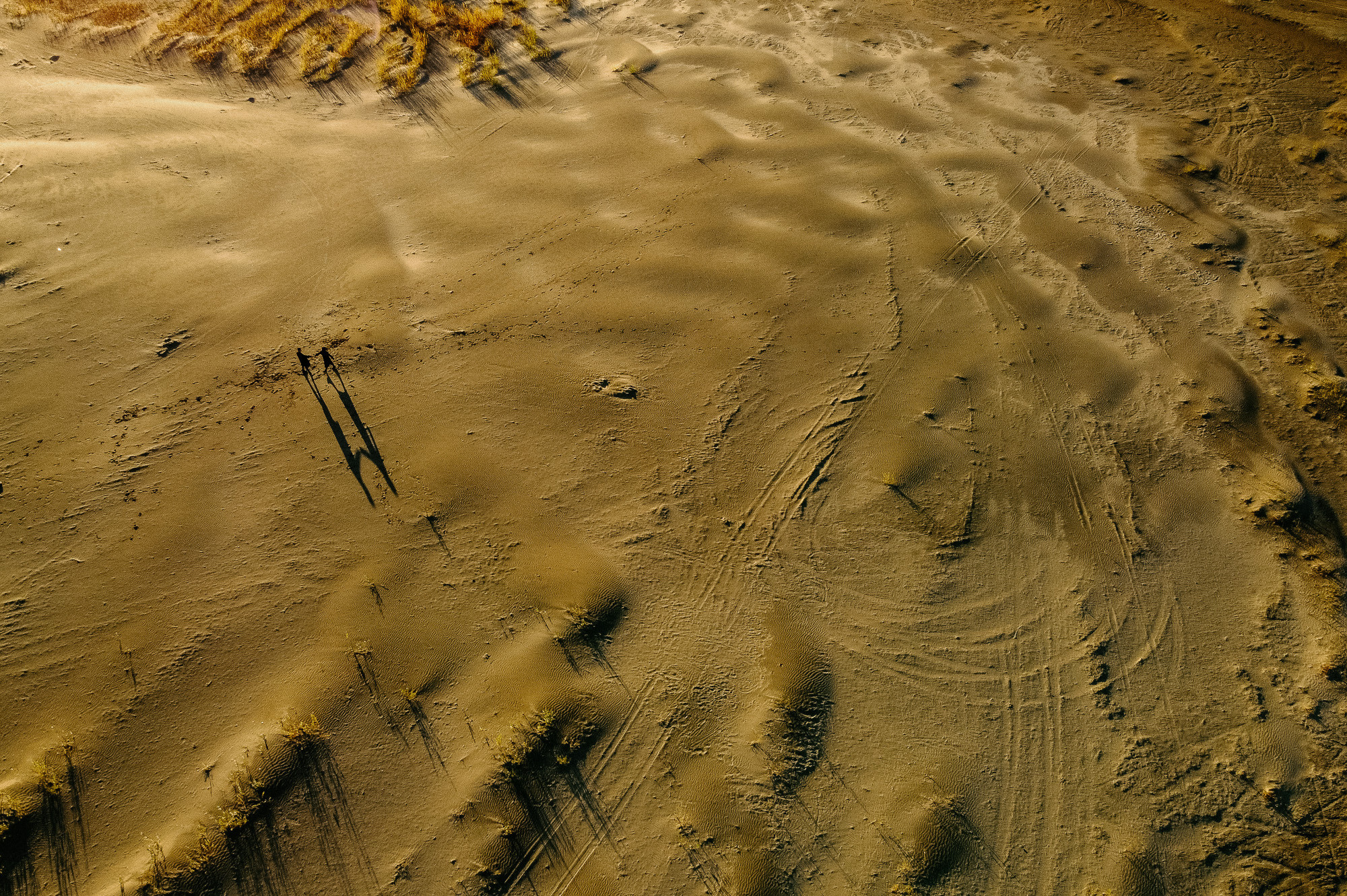 Autumn love. Wedding photographer