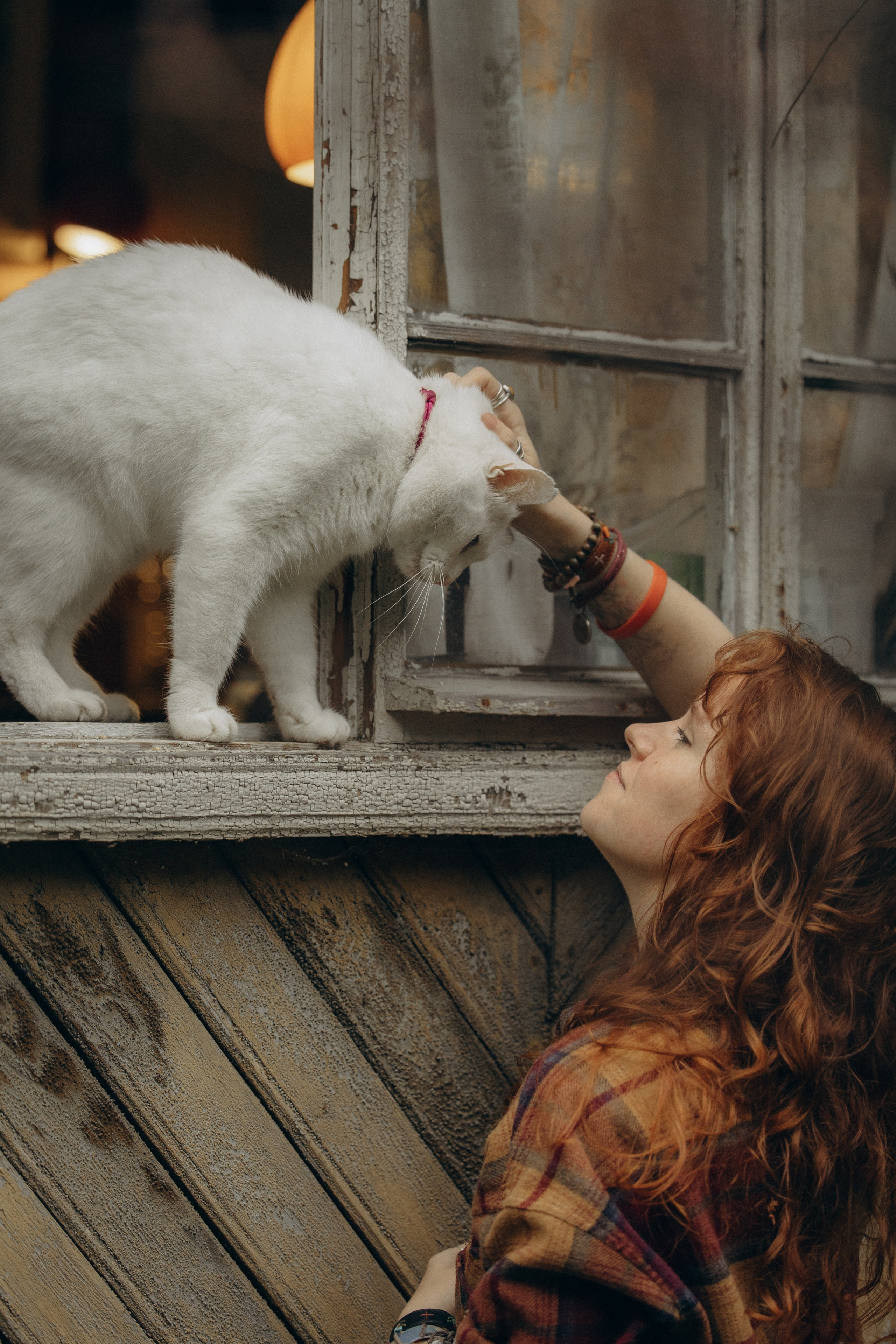 Настасья и кот Шалфей. Фотограф анималист в Казани Алина Сулейманова. Фотограф животных