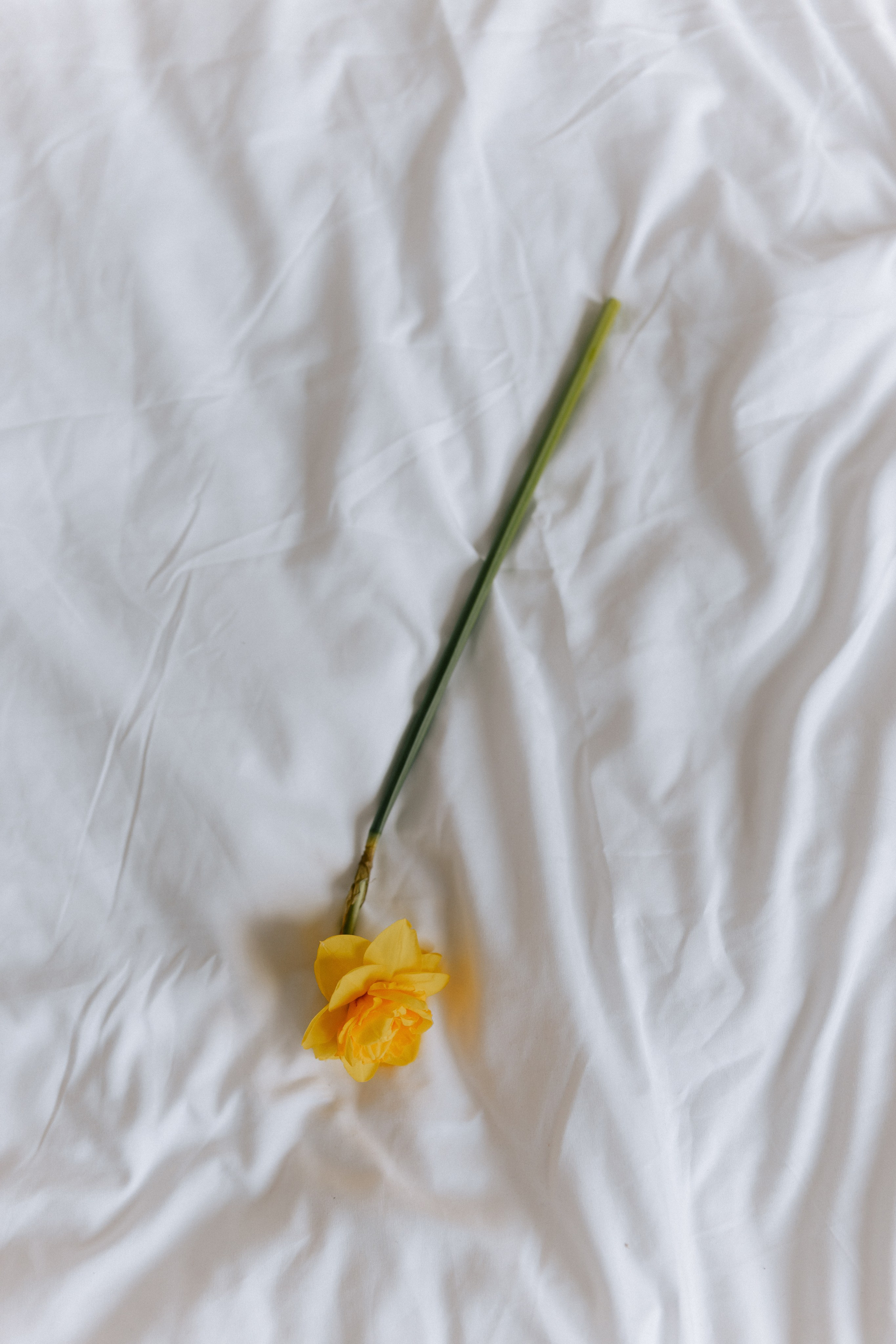 Лиля и Ева. Ланемец Юлия — фотограф Волгоград/Волжский