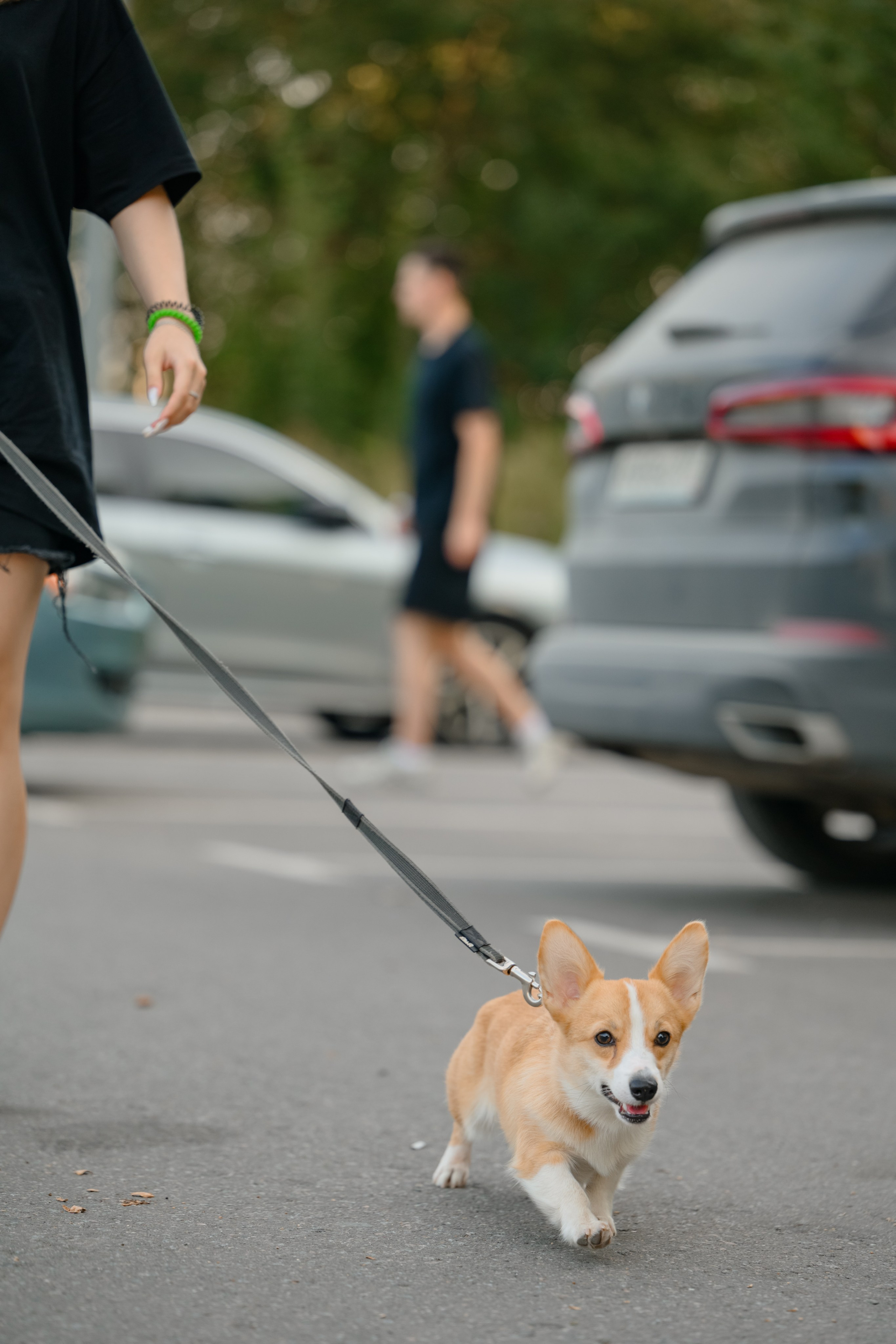 Катя группа. Семейный фотограф и анималист в Москве и Московской области