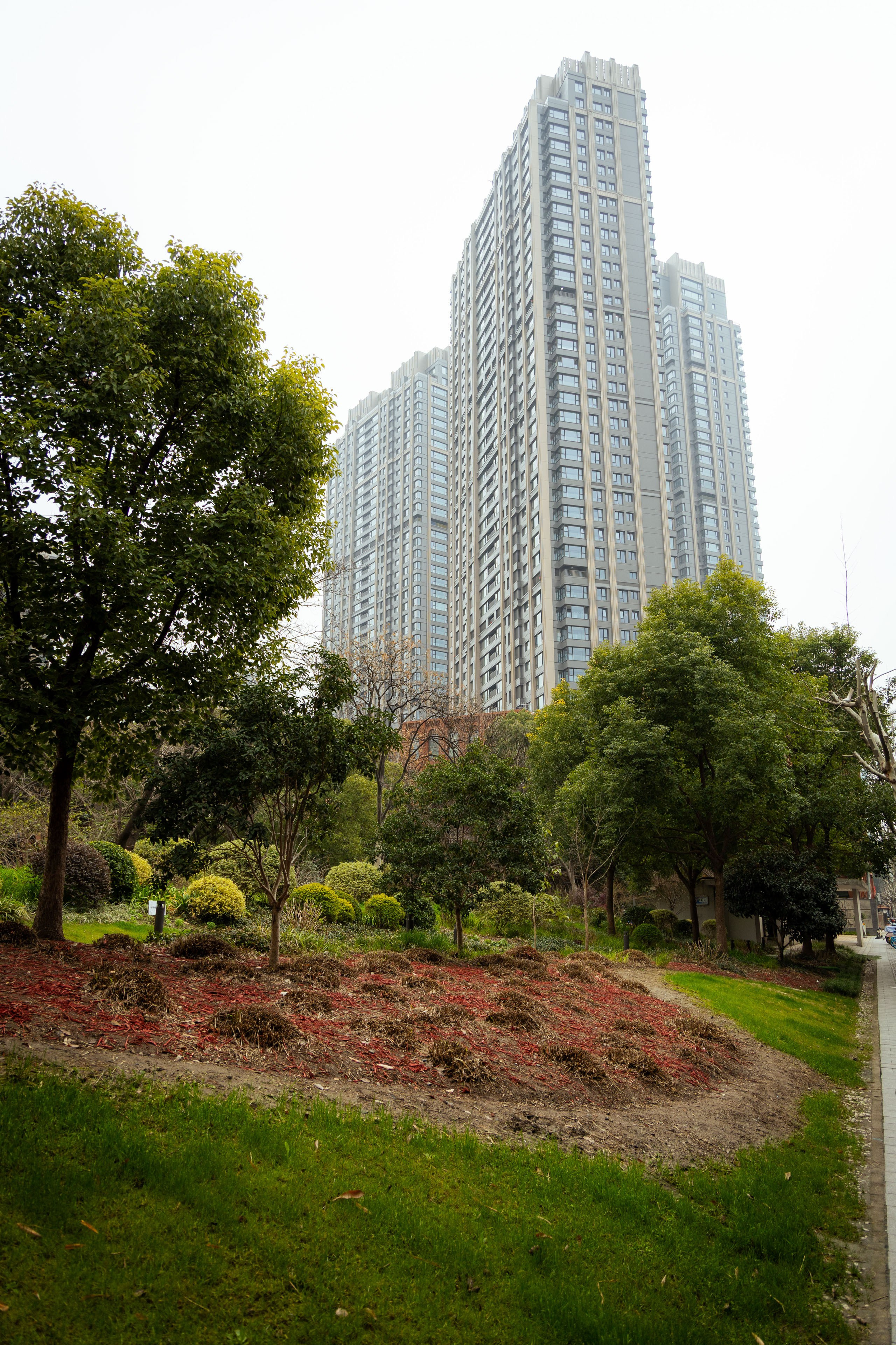 Шанхай (март 2026). Фотограф Виноградов Константин