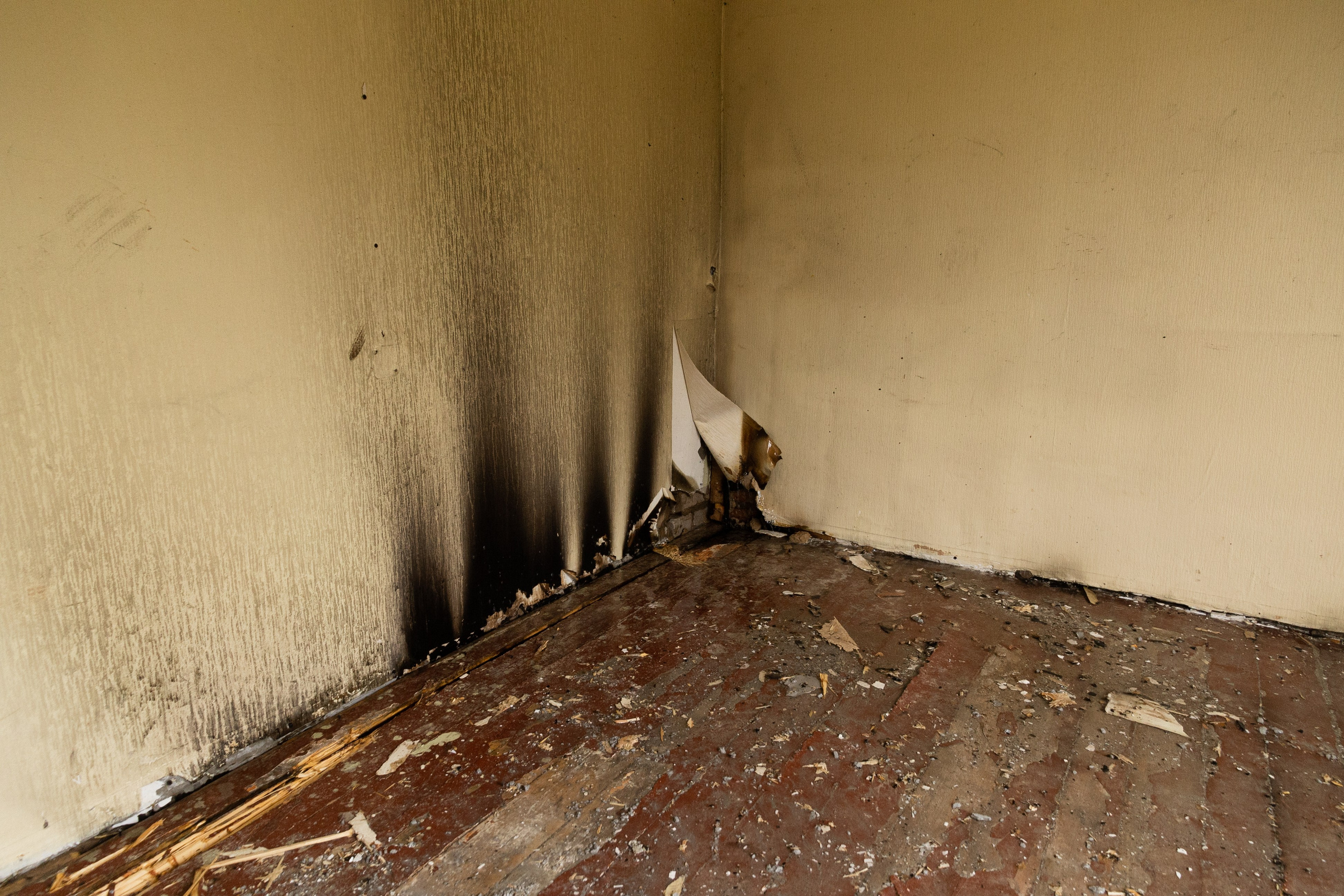 Часть. DASHA KALNINA