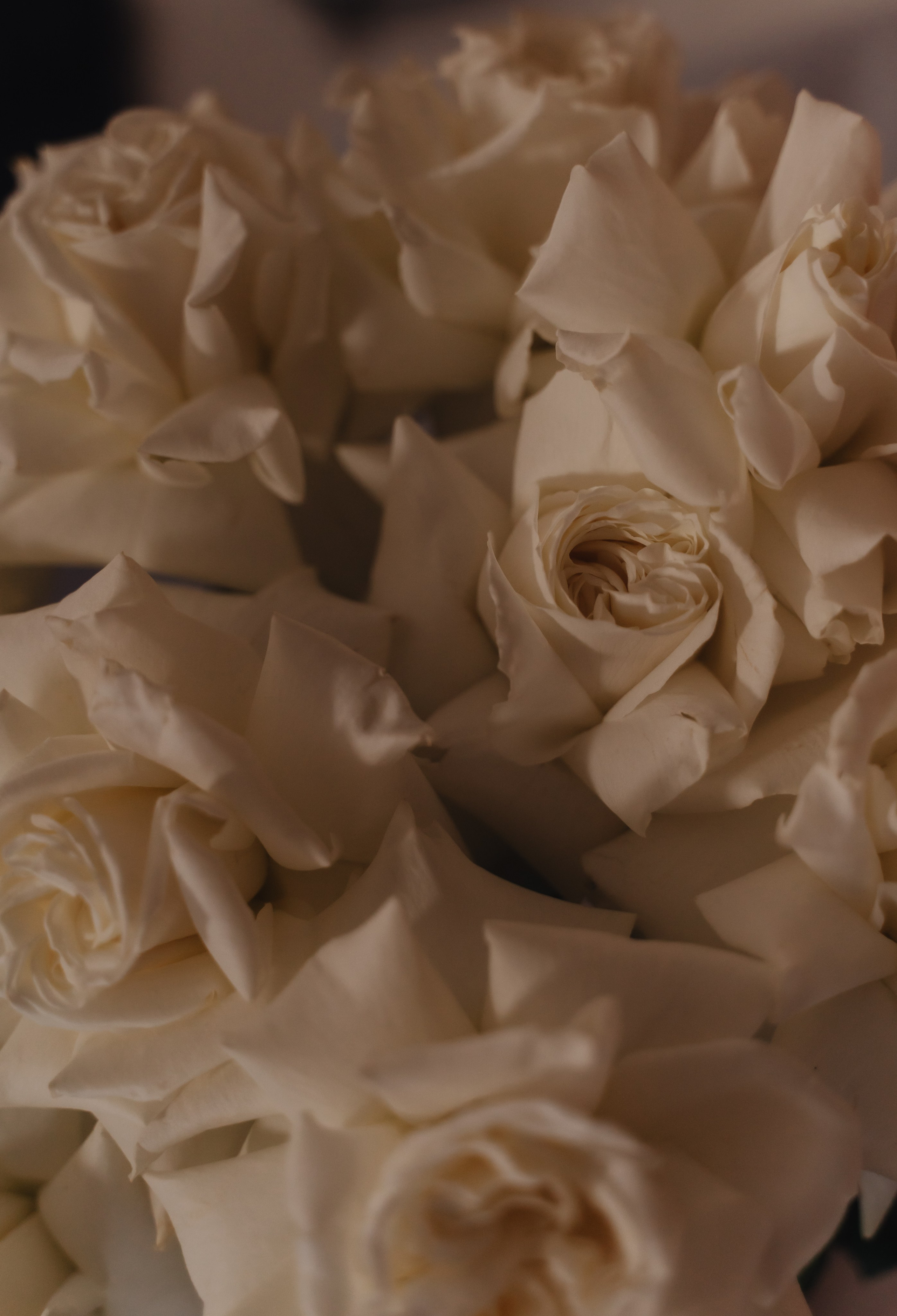 Гала ужин в Alemana. Свадебный и семейный фотограф Ирина Чернова