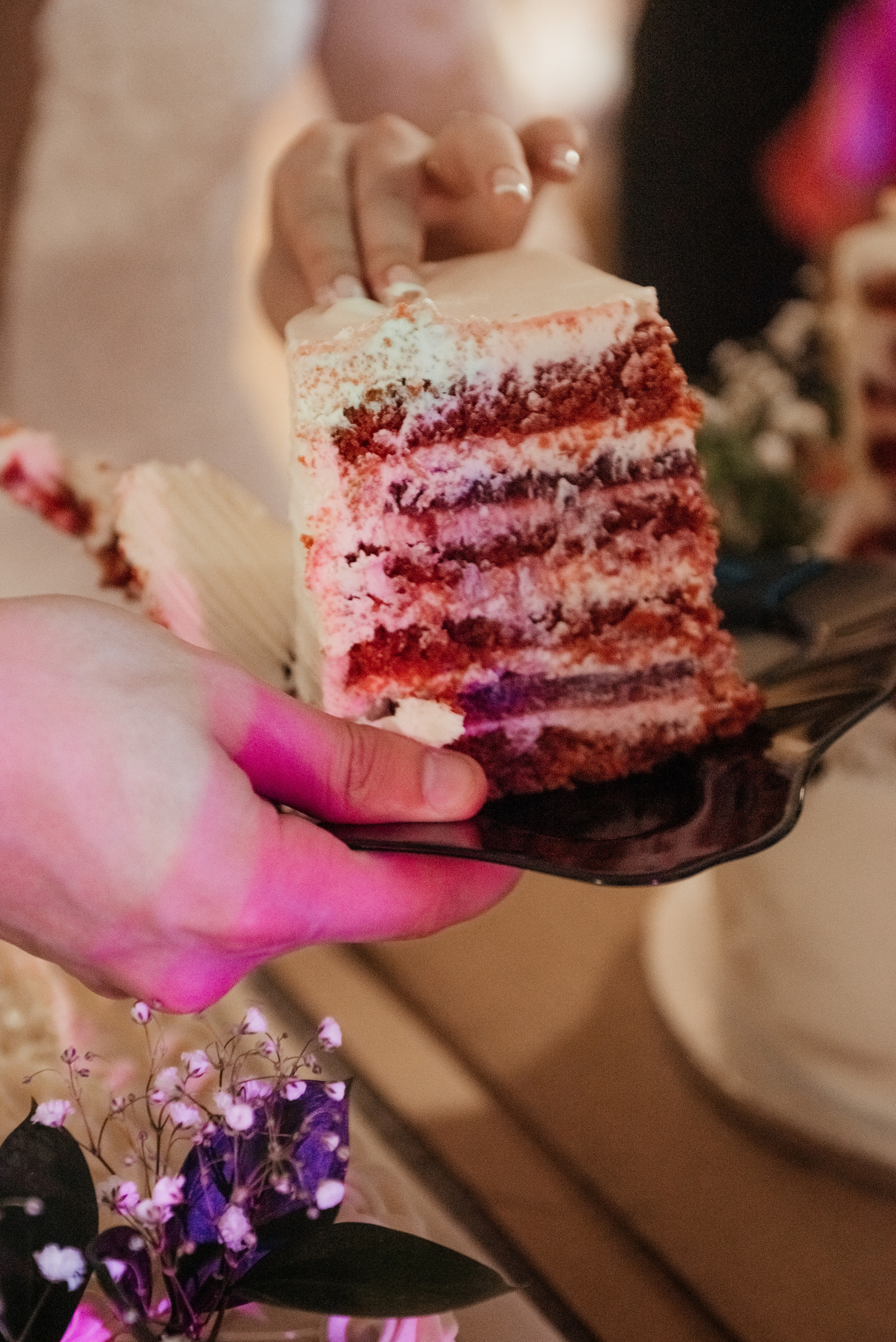 Дмитрий и Анастасия. Свадебные и семейные съемки Сергей и Юлия Пушкаревы