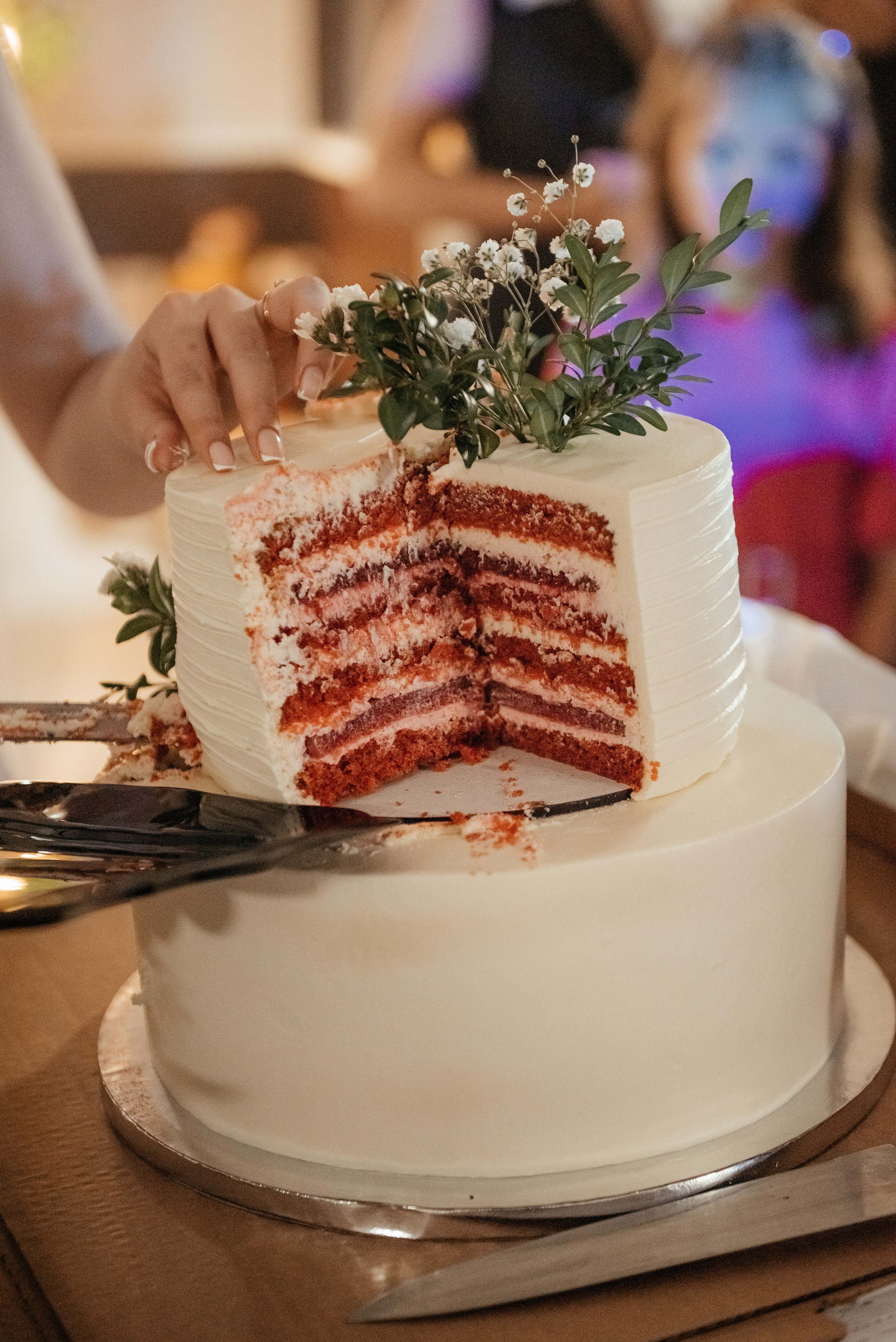 Дмитрий и Анастасия. Свадебные и семейные съемки Сергей и Юлия Пушкаревы