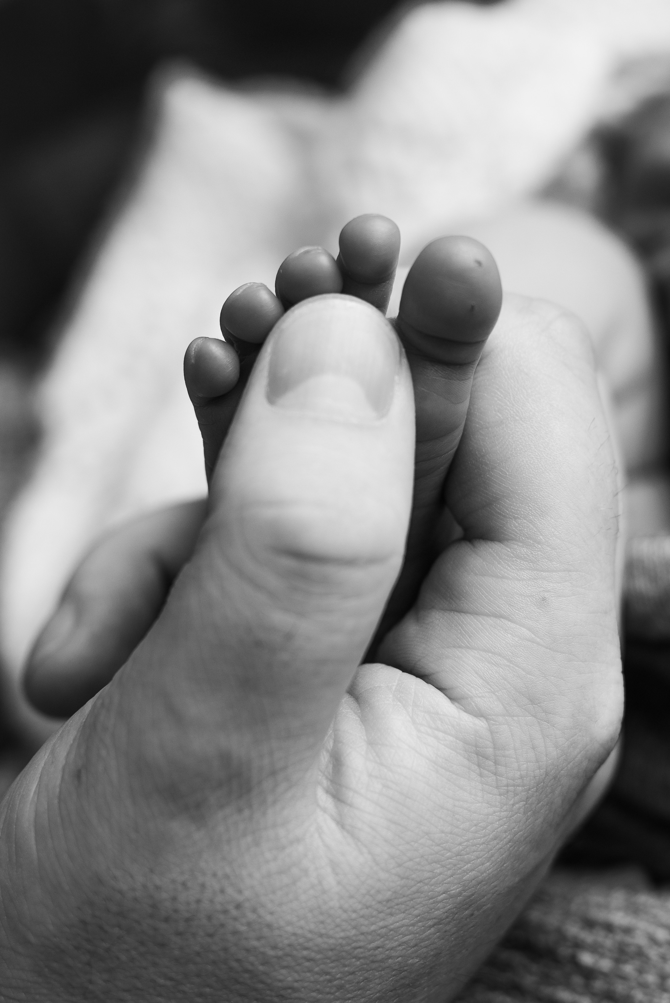 Отзывы. Фотограф новорожденных Василиса Панькова