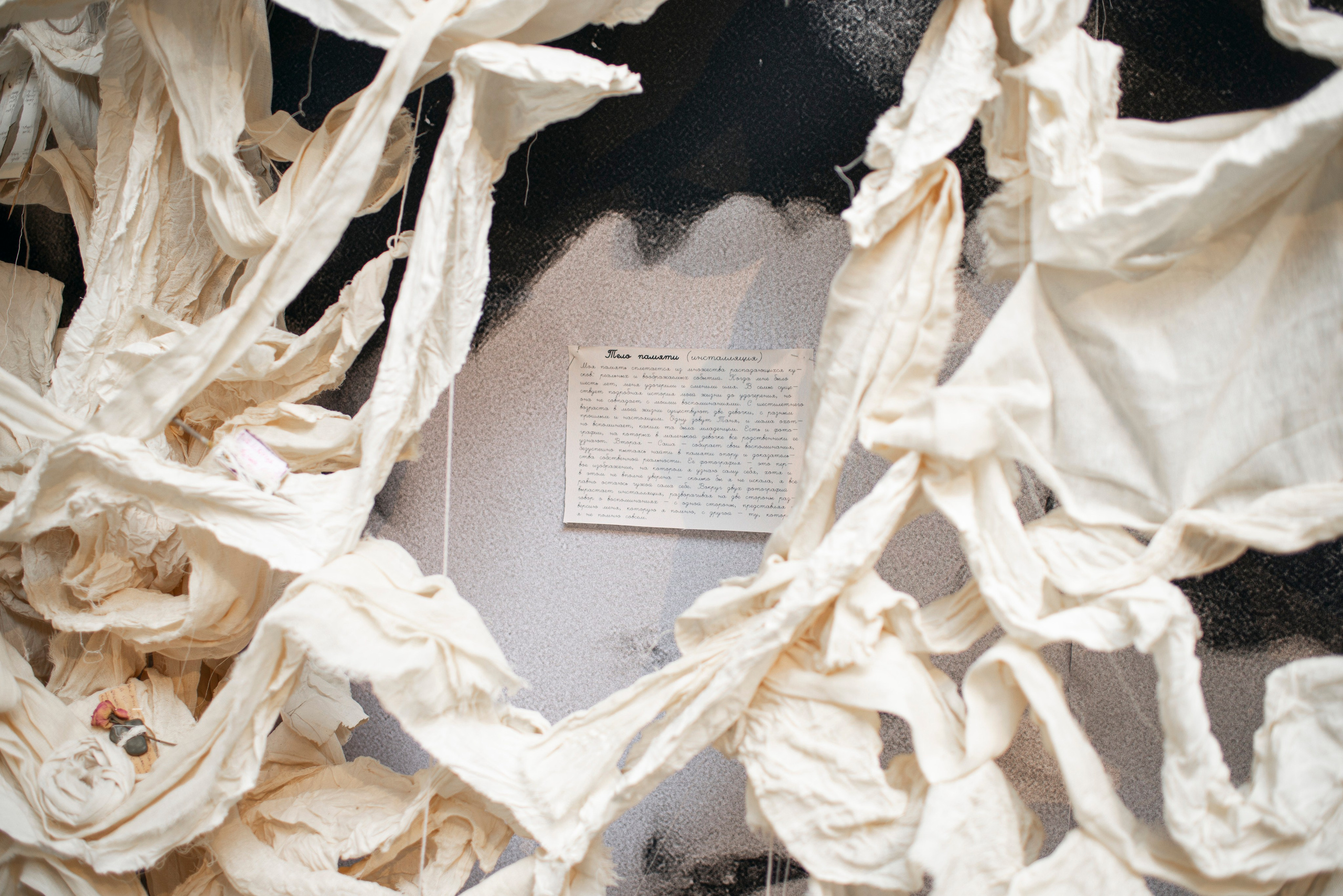 Открытие выставки в ММОМА «Коллекция». Фотограф в Москве Алейникова Евгения