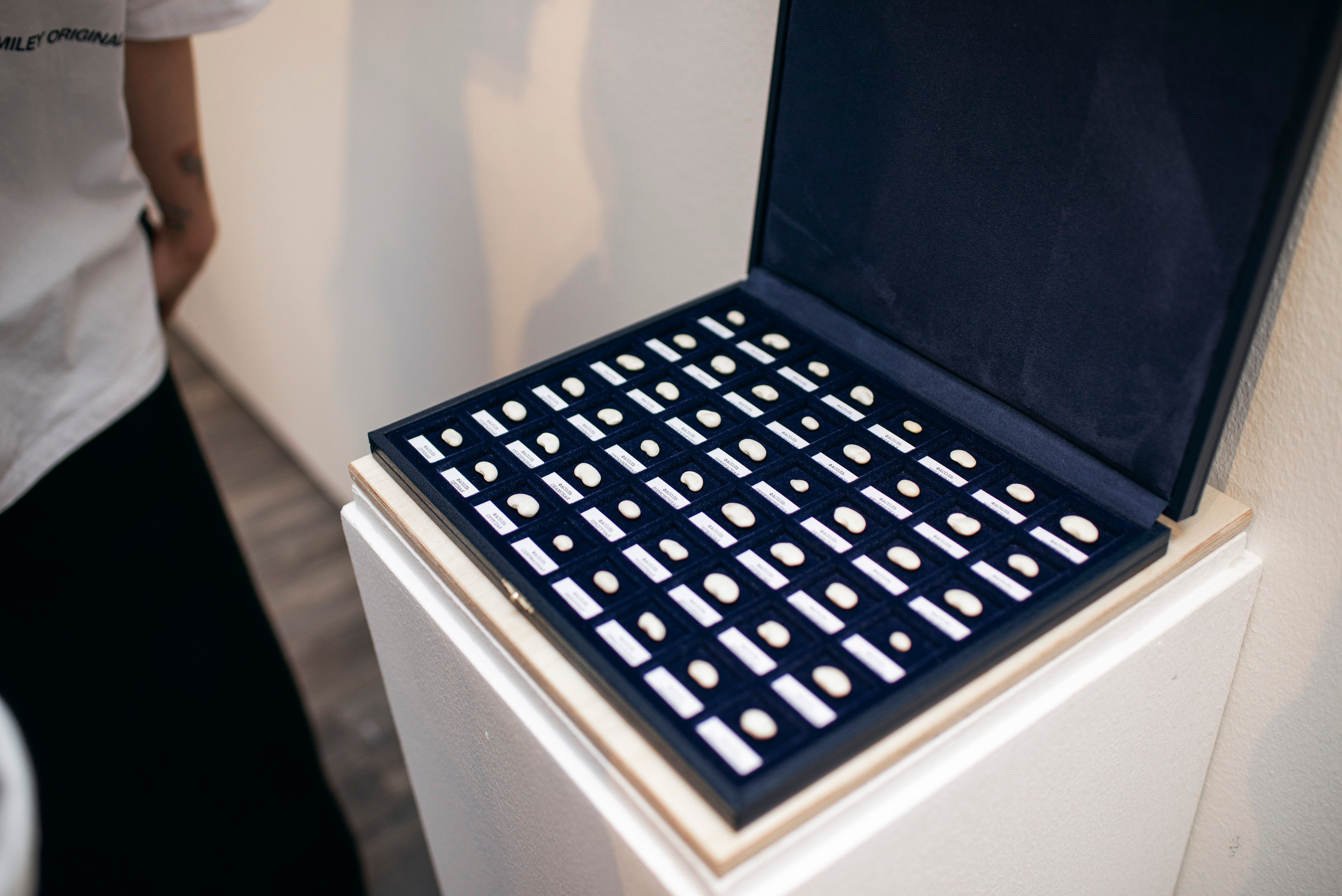 Открытие выставки в ММОМА «Коллекция». Фотограф в Москве Алейникова Евгения