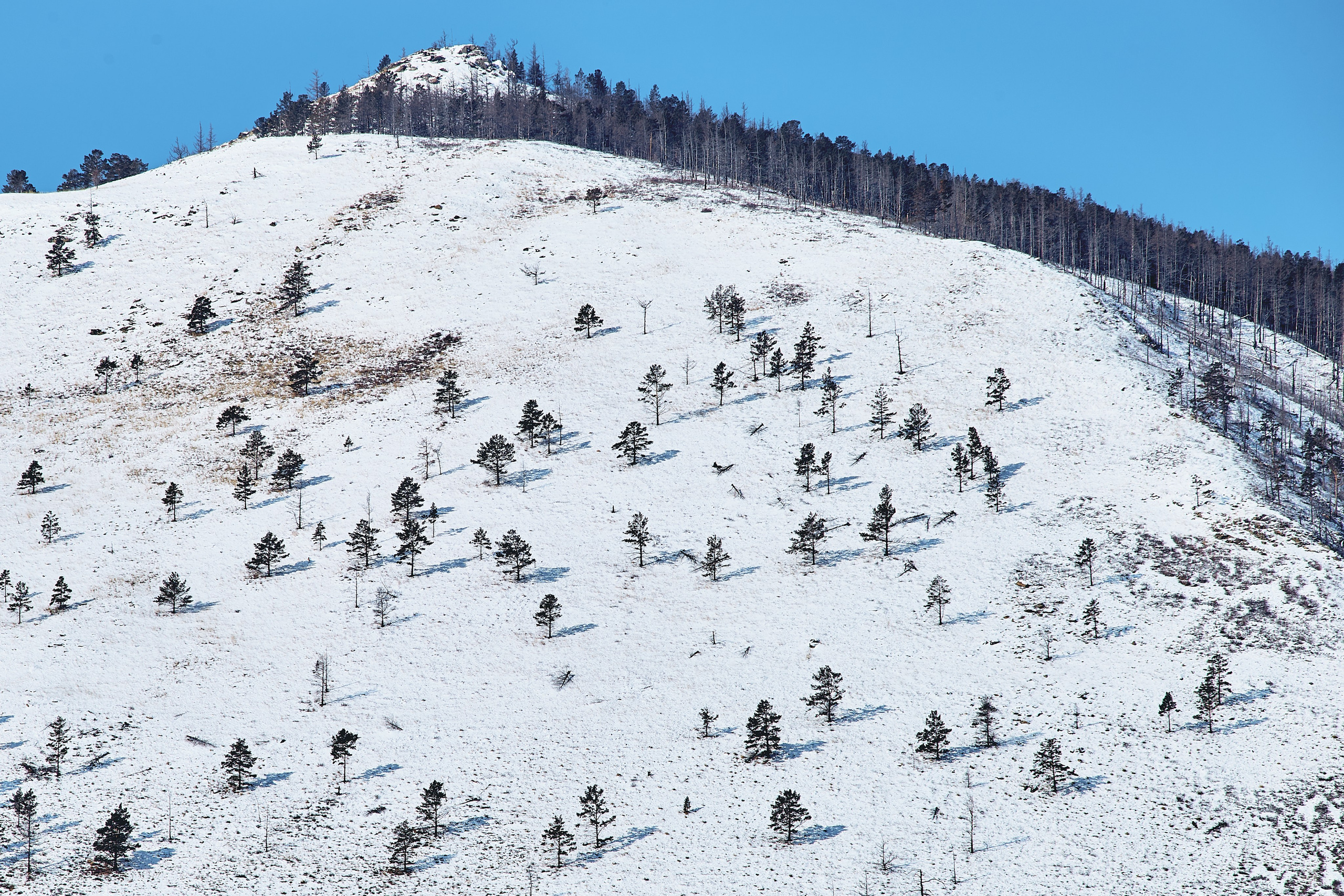 Байкал с YogaBlizko. Юлия Иванова. Фотограф для лучших моментов