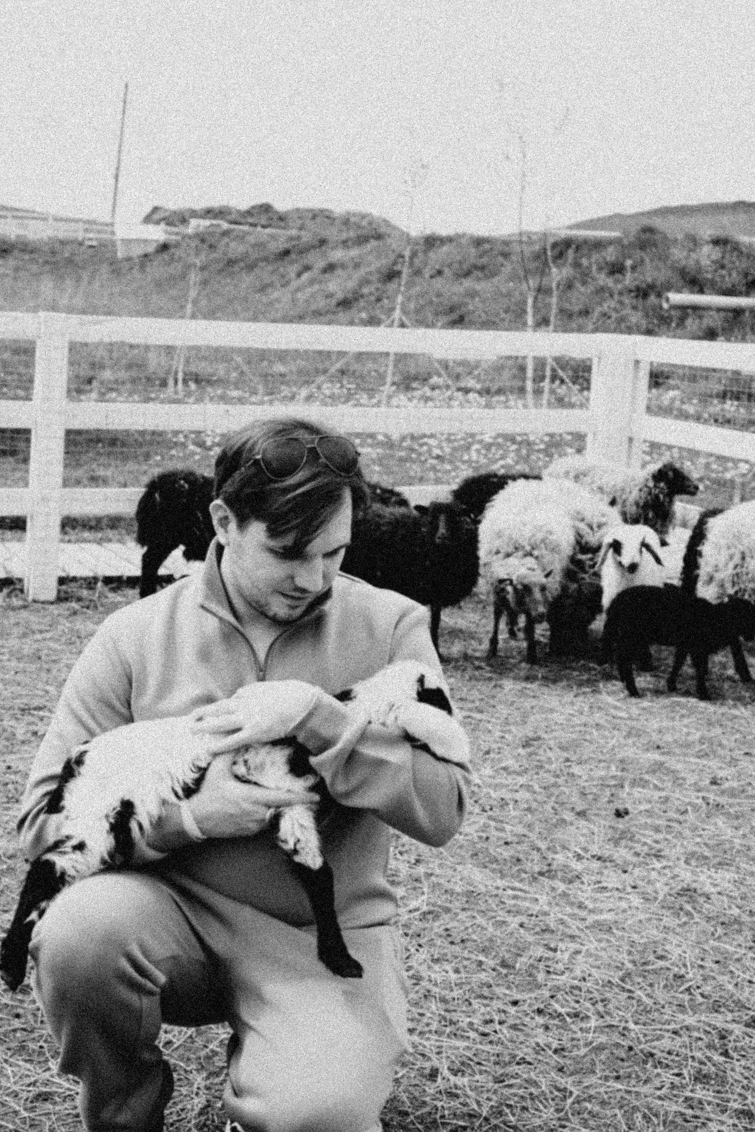 Ферма Альпак. Профессиональный фотограф, Санкт-Петербург — Виктория Богомолова