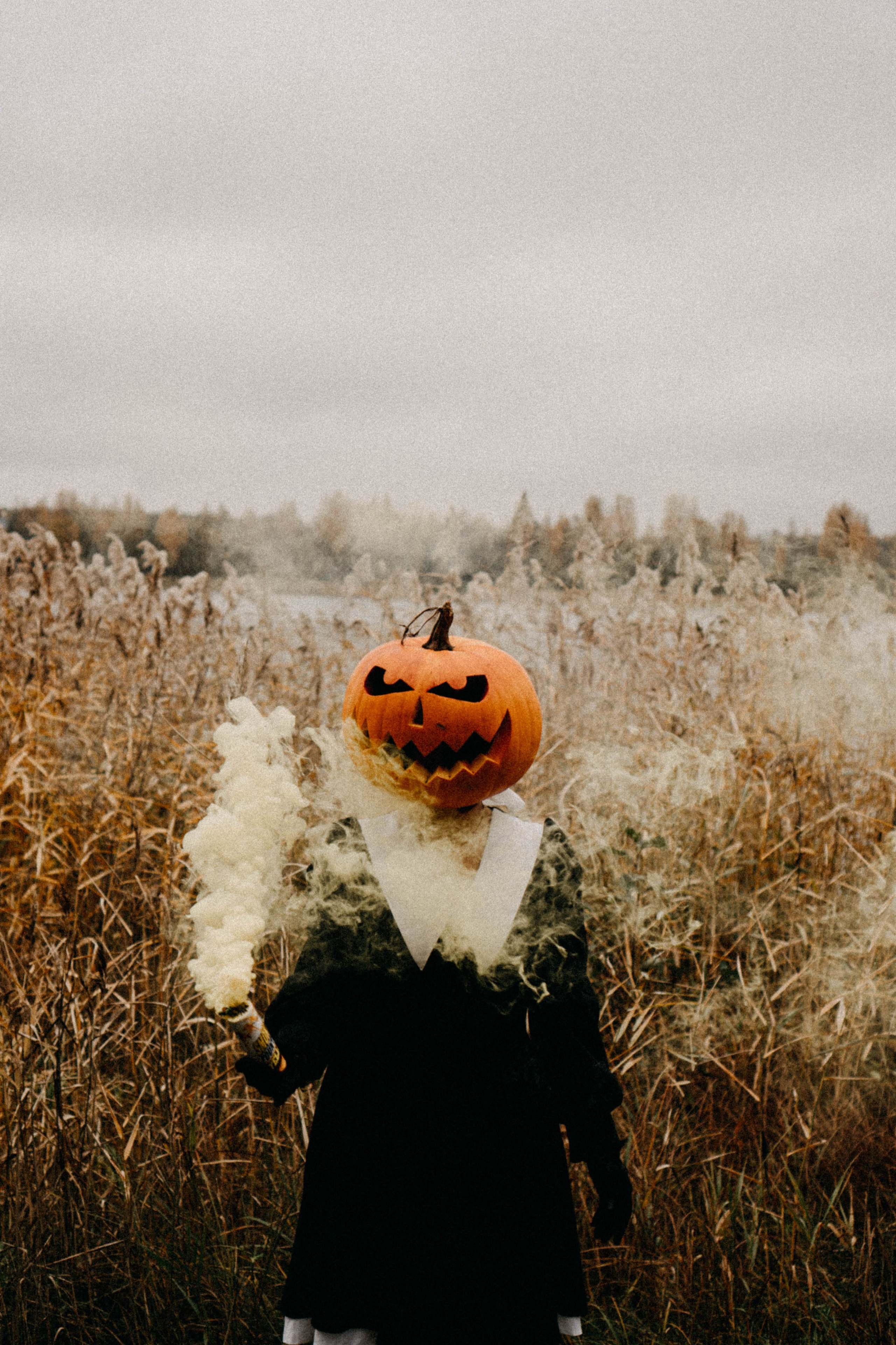 Осеняя. Профессиональный фотограф, Санкт-Петербург — Виктория Богомолова