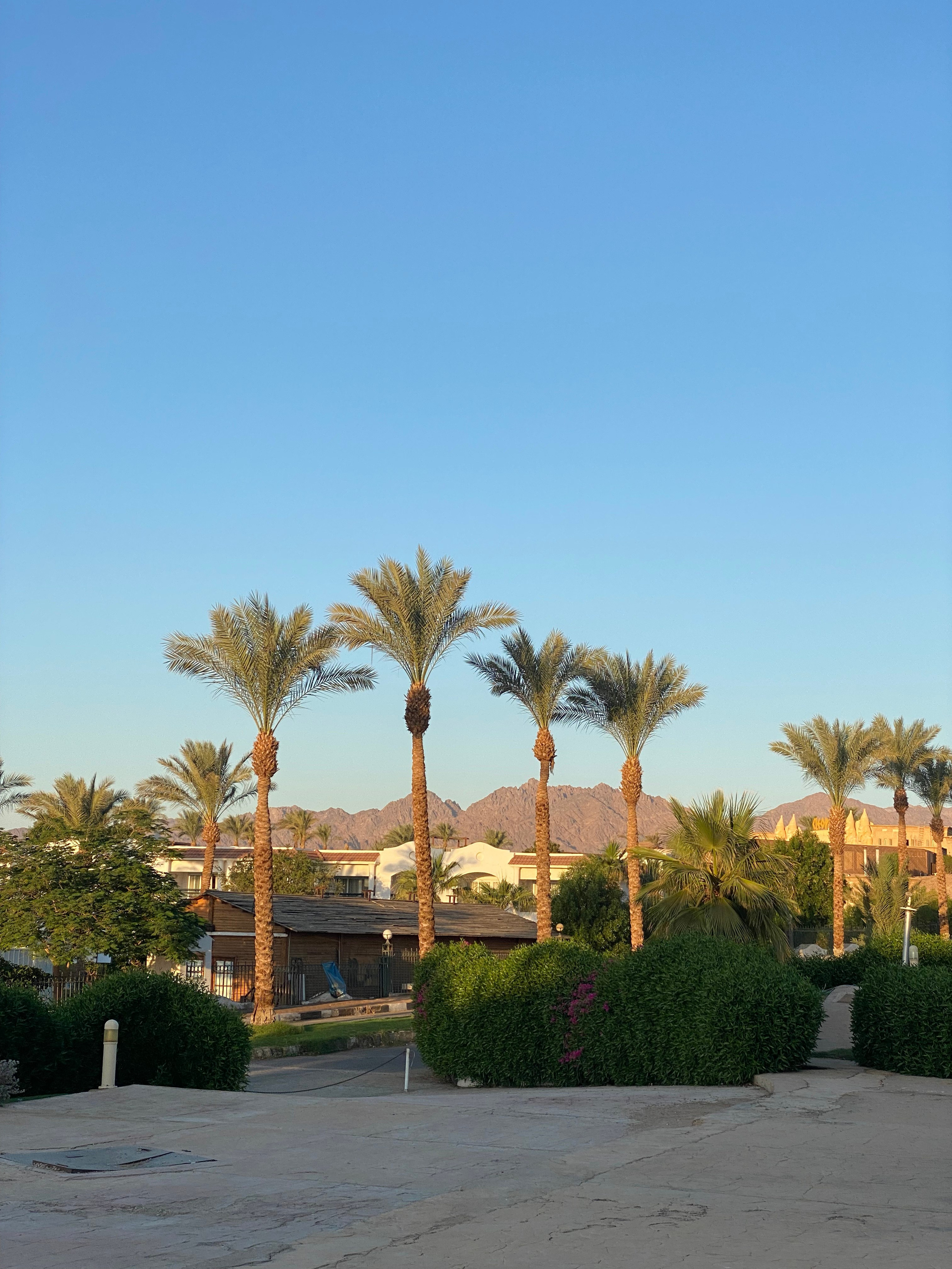 Египет — 21. Своя Мастерская