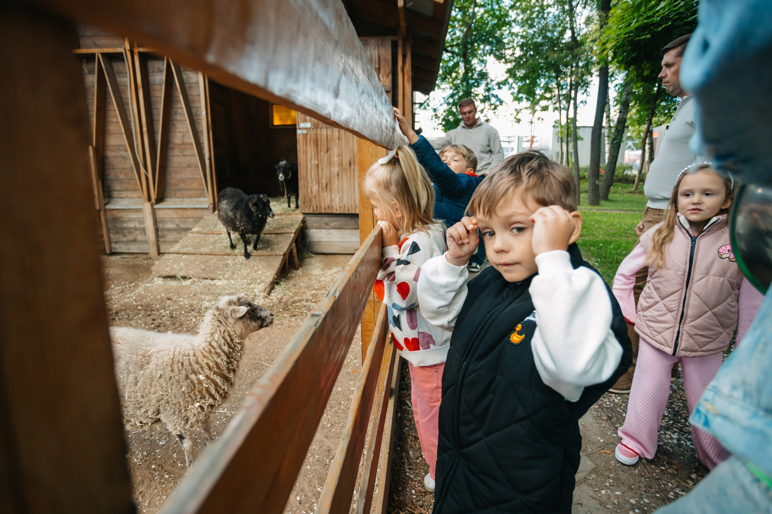 День рождения Марка. Андрей Партнов — фотогрраф, Москва