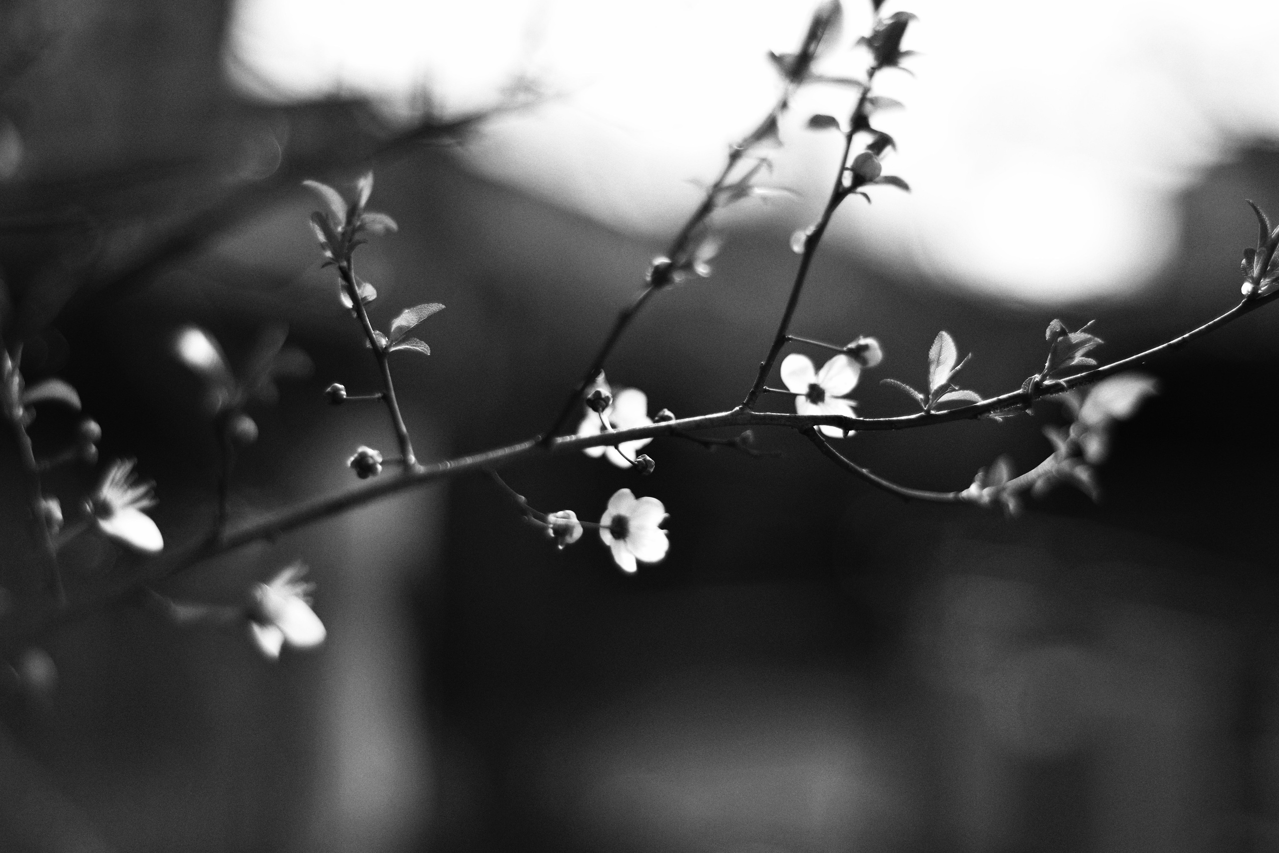 Есть. Психолог • Миронова Елена