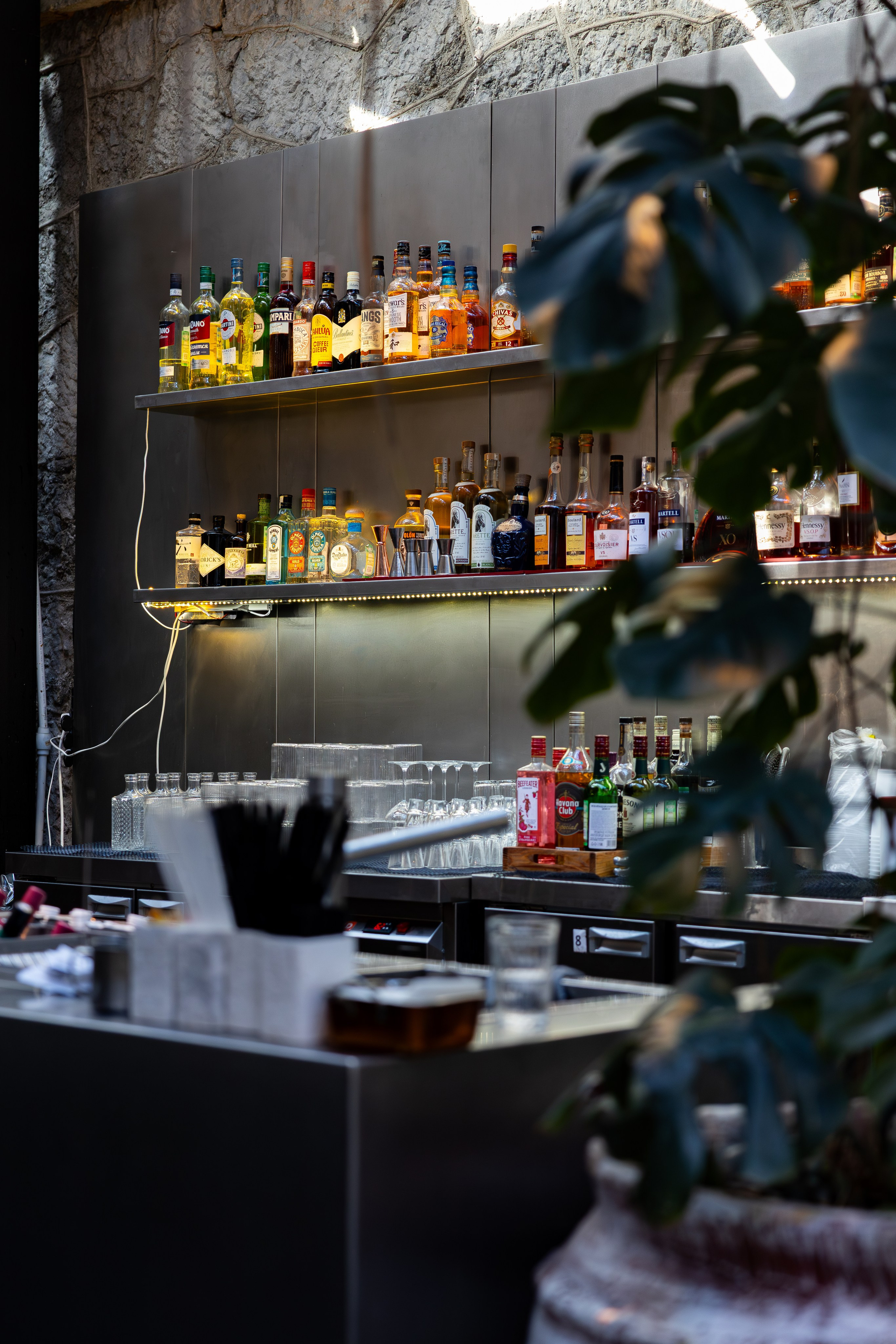 Gastrodvor THE LAB. Дженбаз Павел — фотограф в Ялте