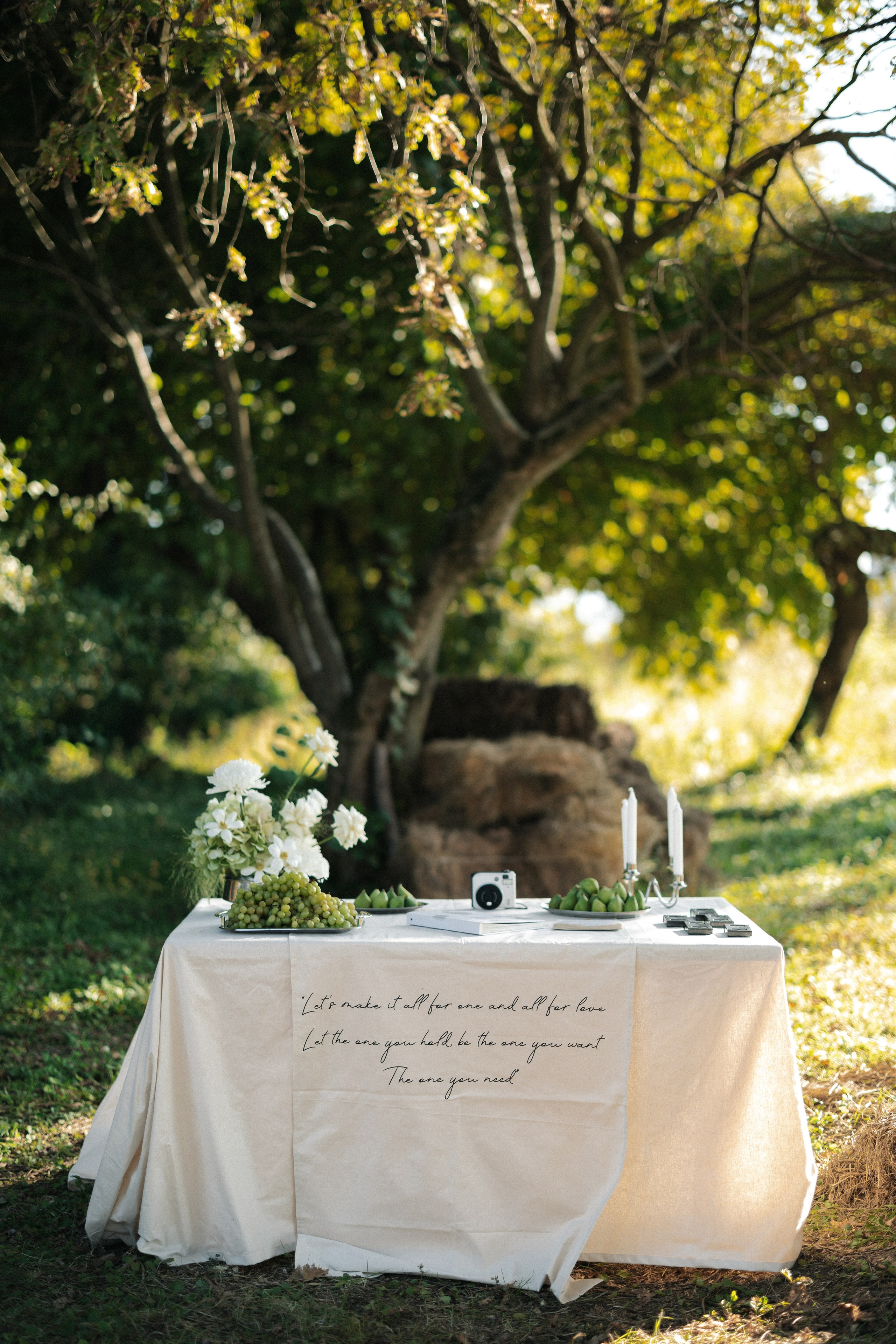 Грузия. Свадебный фотограф Москва Мотеюнайте Виктория