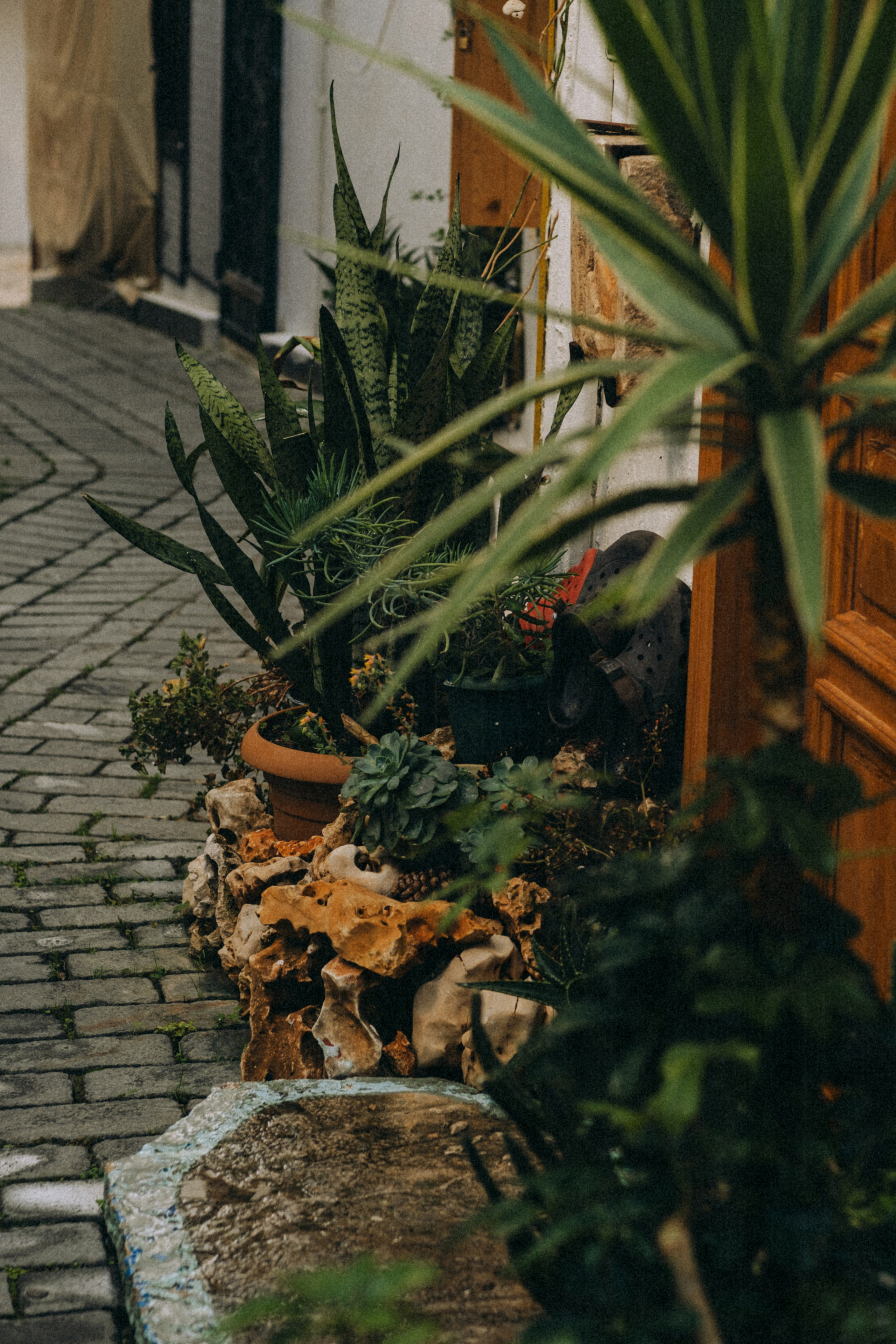 Aliona. Фотограф Ксения Дзюбак Самара-Москва