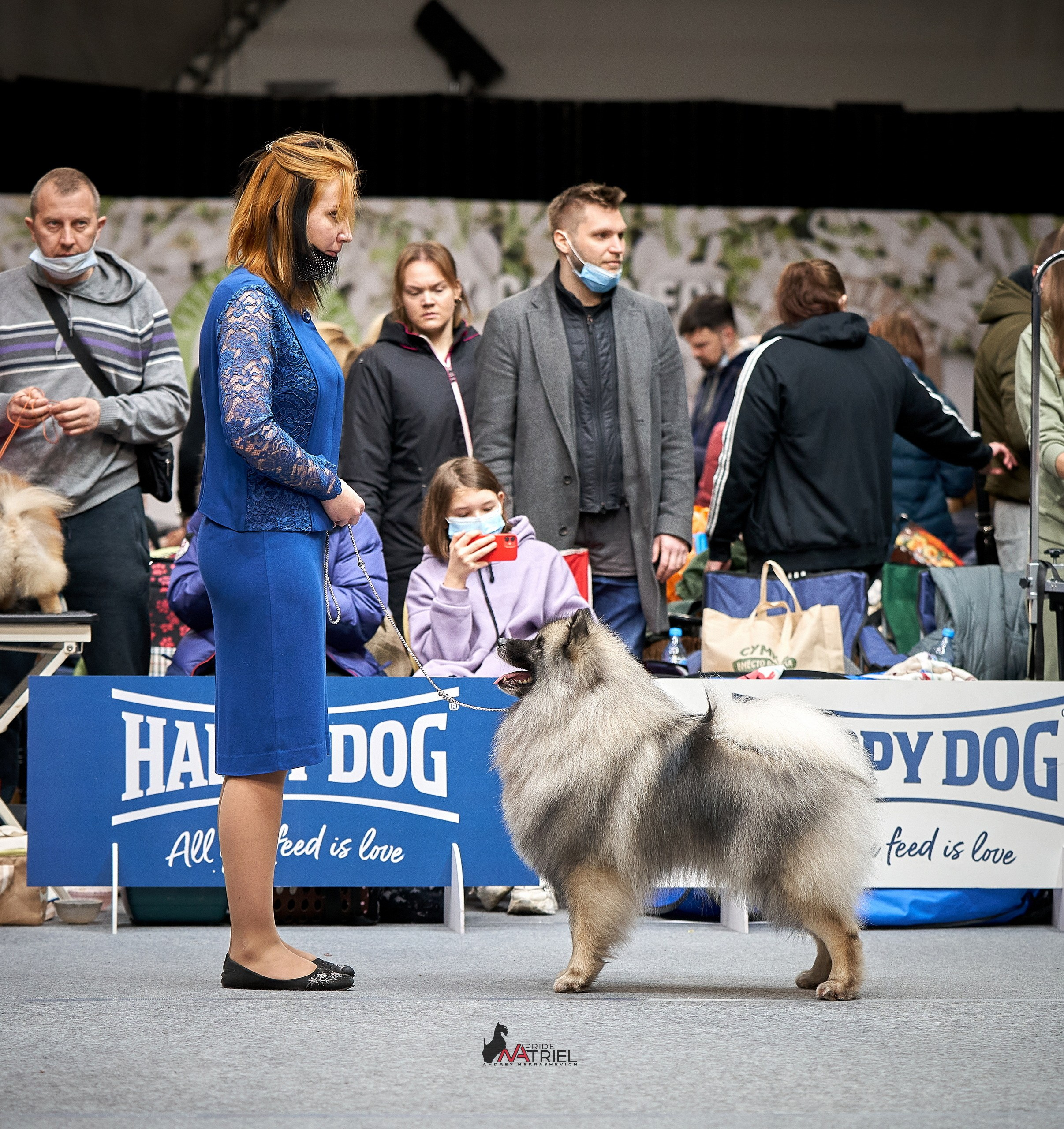 Работа в рингах — галерея NATRIEL