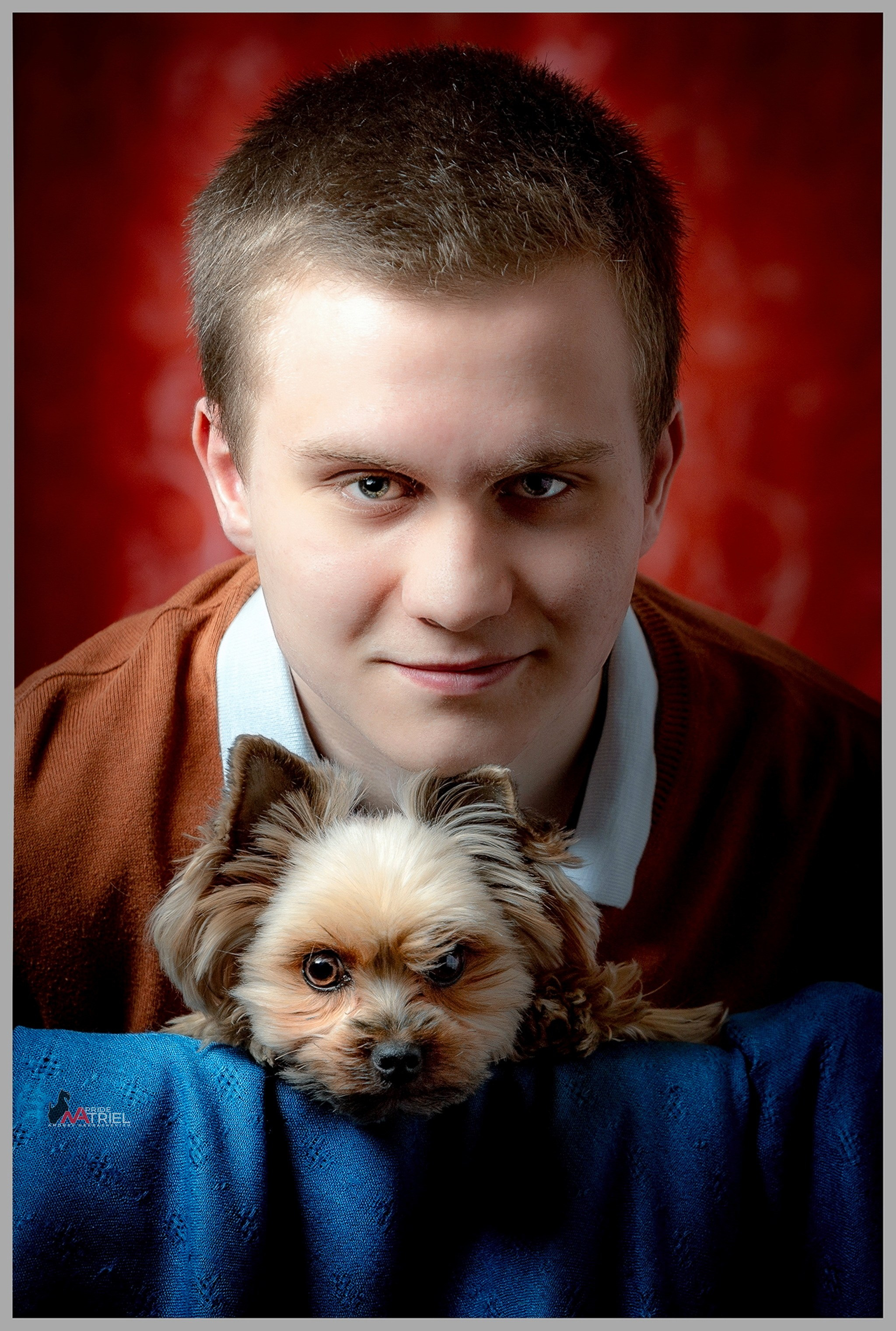 Йоркширский терьер Циля