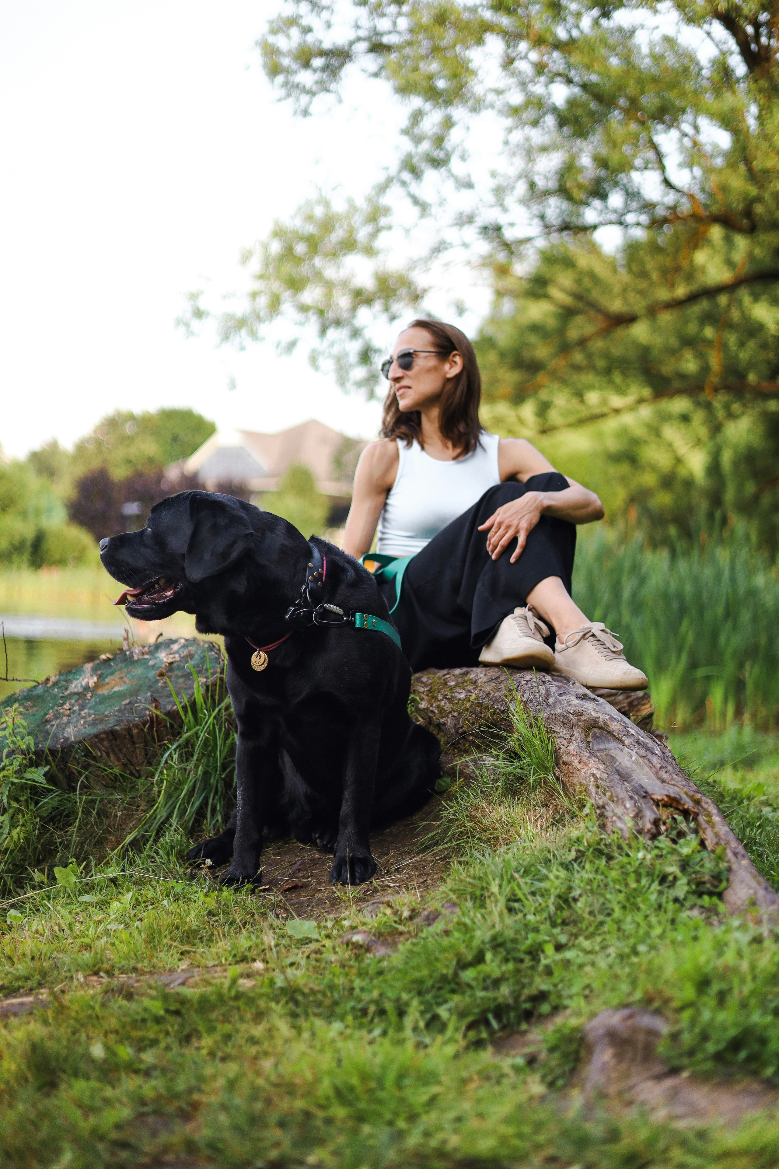 Найт и Соня. Фотограф-анималист Ксения Шевцова|Москва