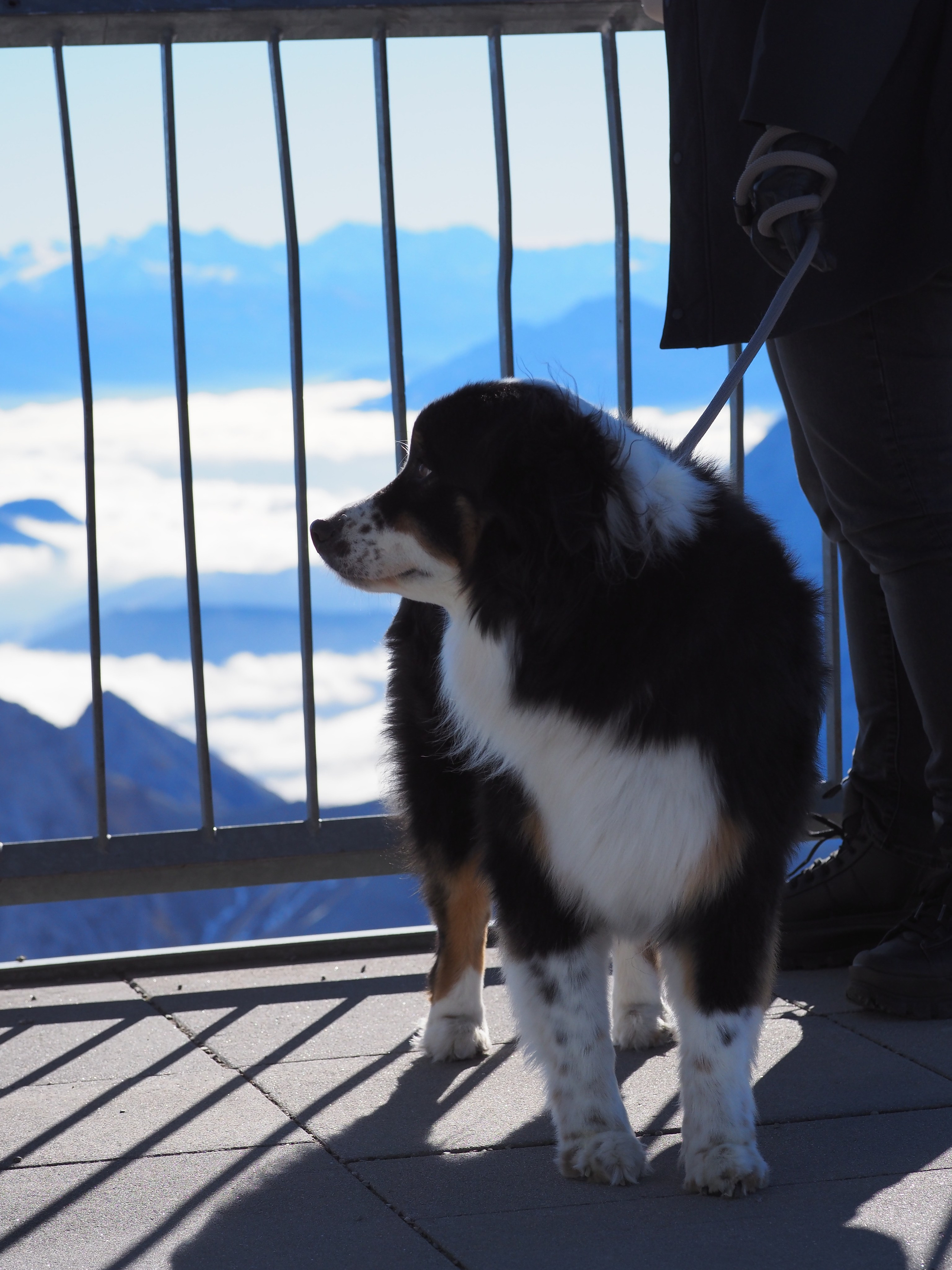 Незнакомцы. Семейный фотограф в Красноярске Лизоркина Вера