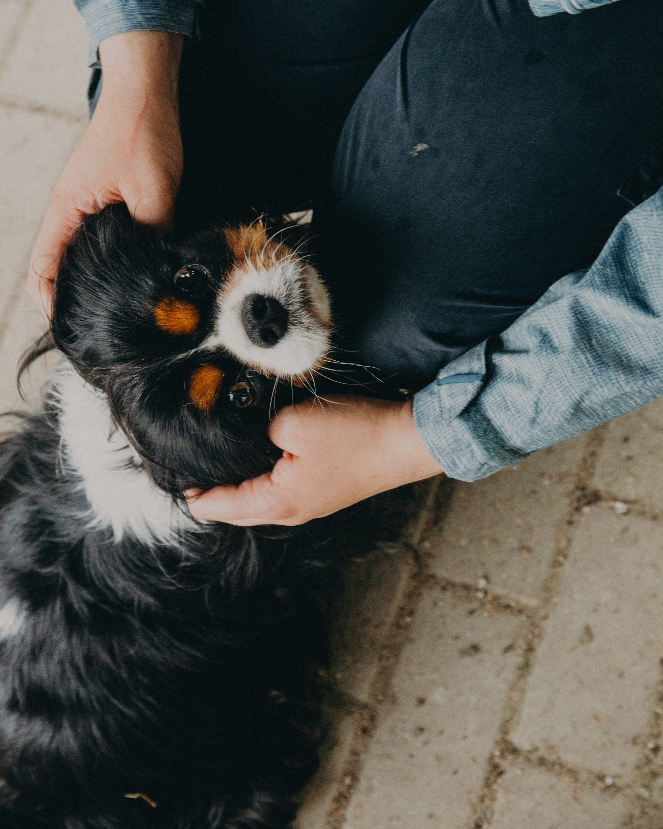 Гилдин. Портретный фотограф Ванинен Анастасия. Санкт-Петербург