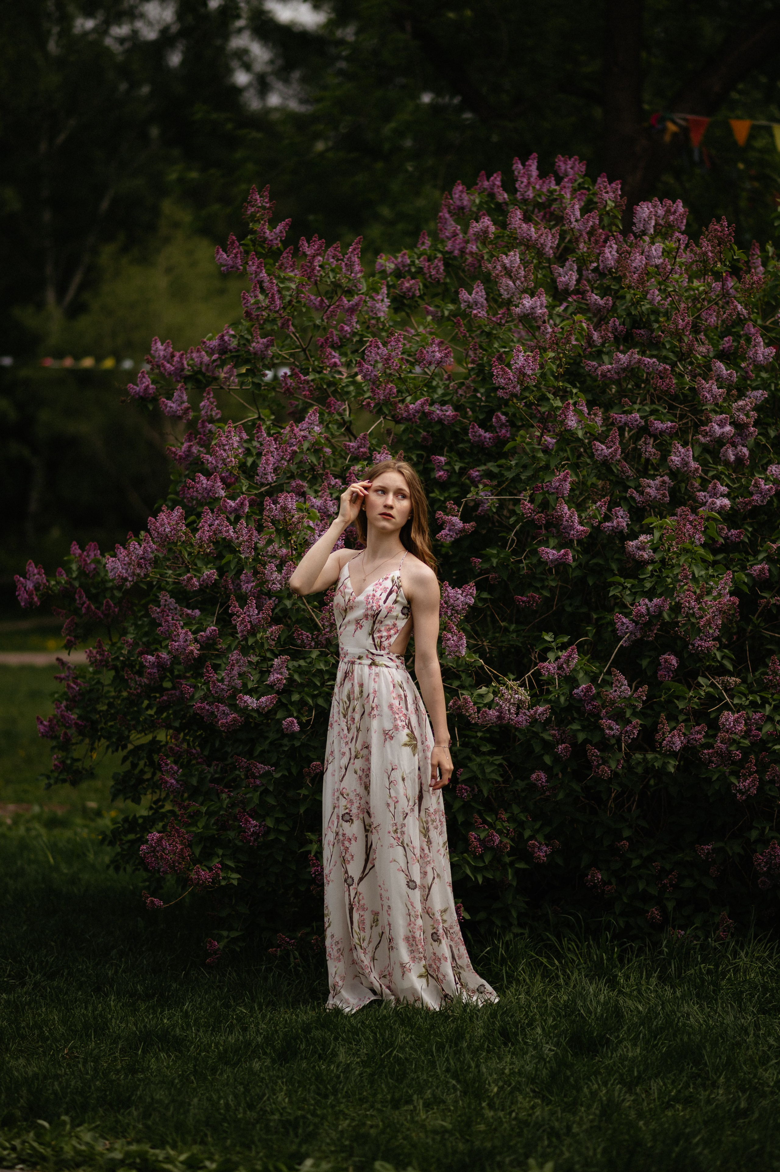 Ксюша, цветение. Главная