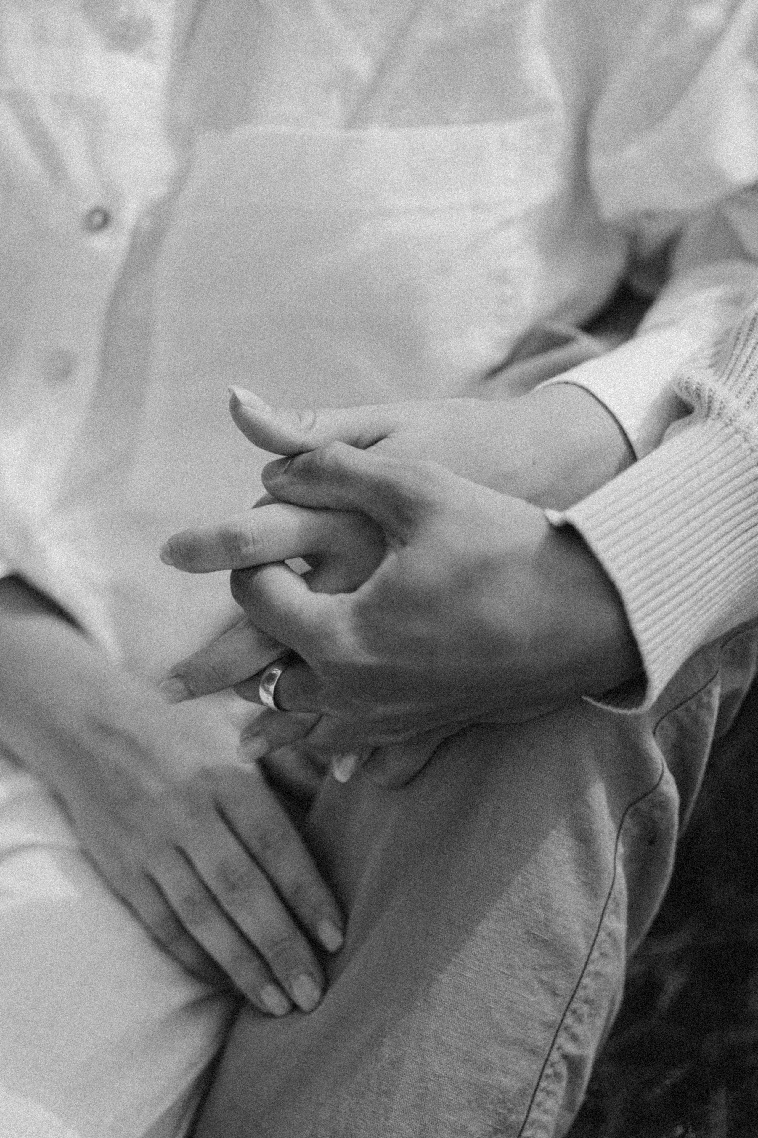 Хеликс и его семья. Фотограф — Анималист | Санкт-Петербург